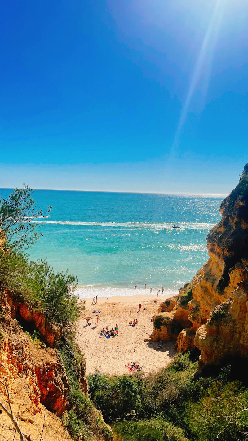 Faro