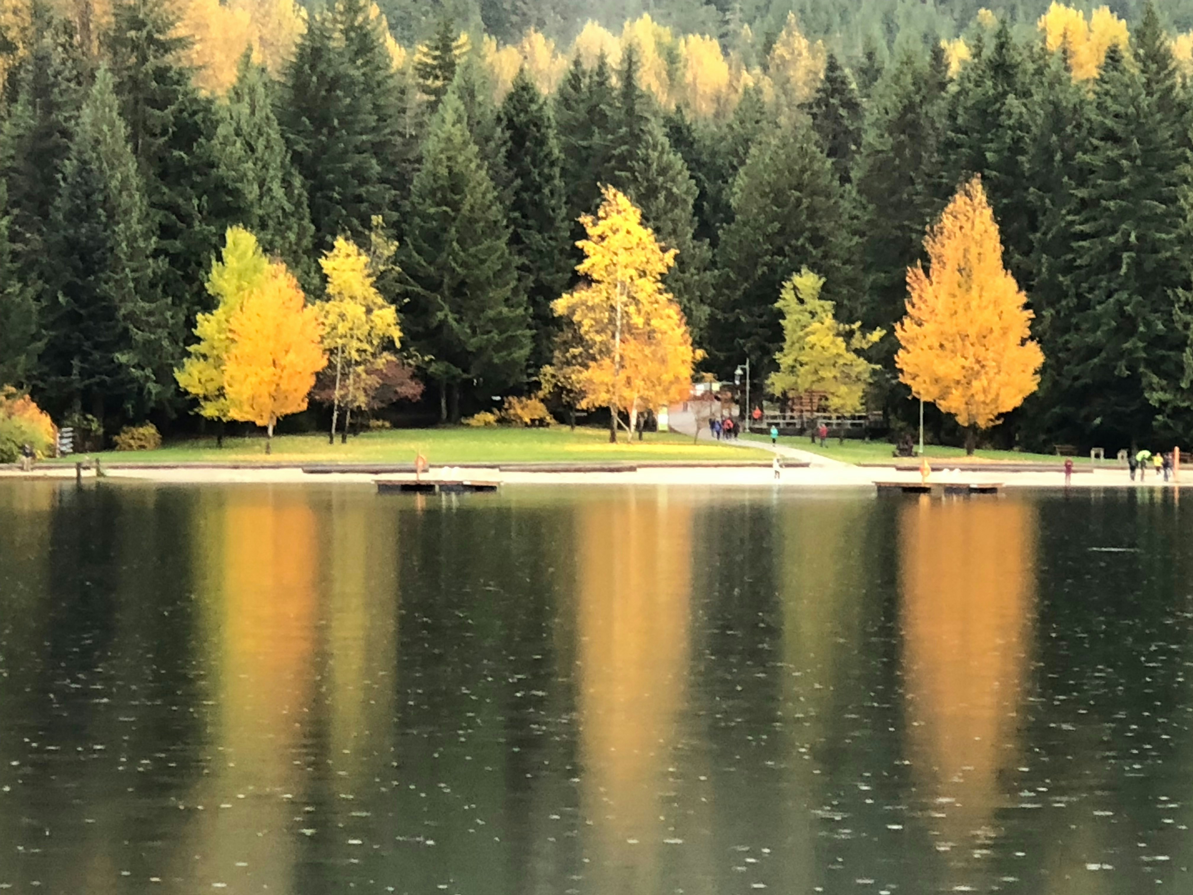 Photo by loopywashere