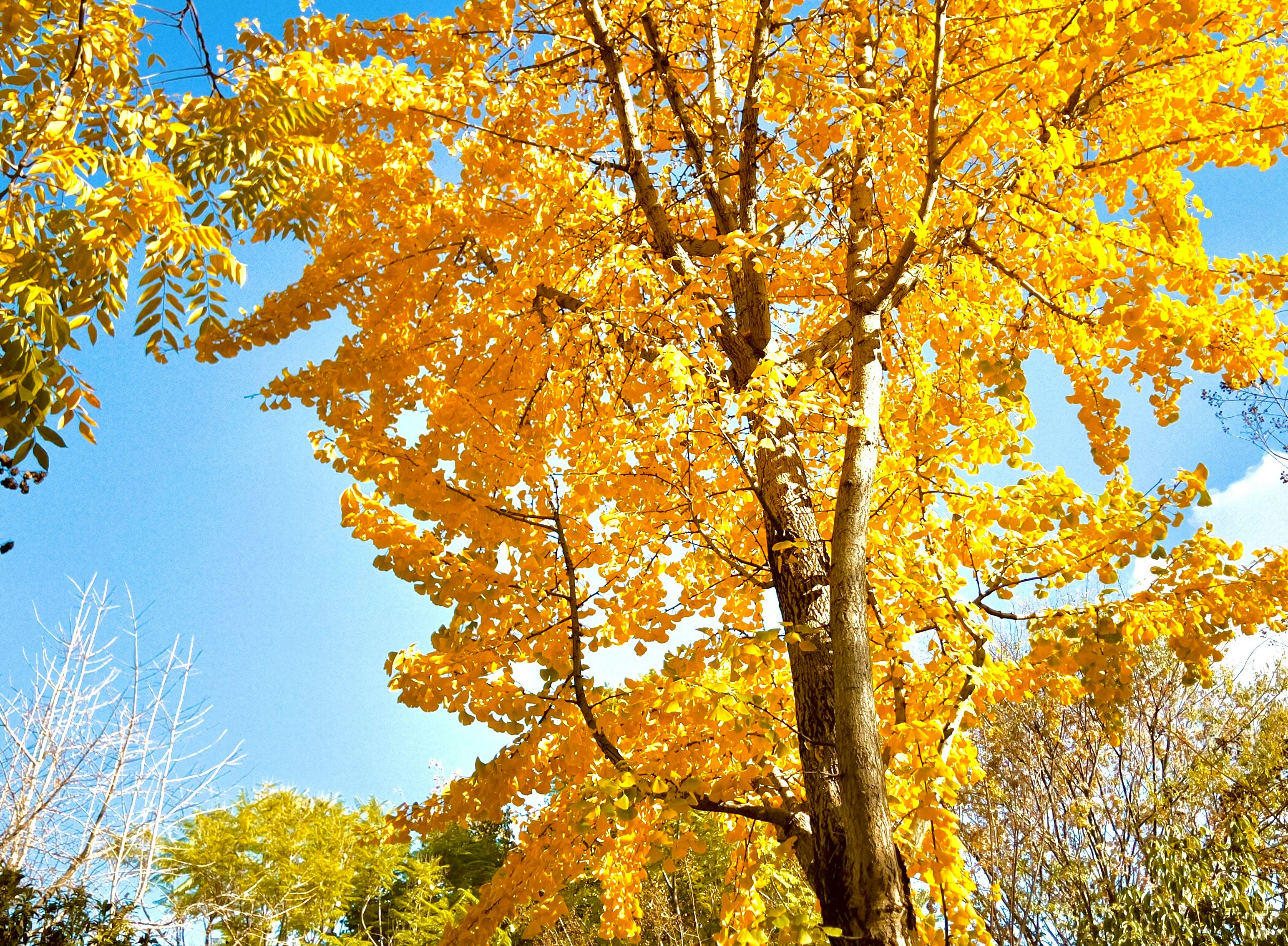 Photo by christopher_lin