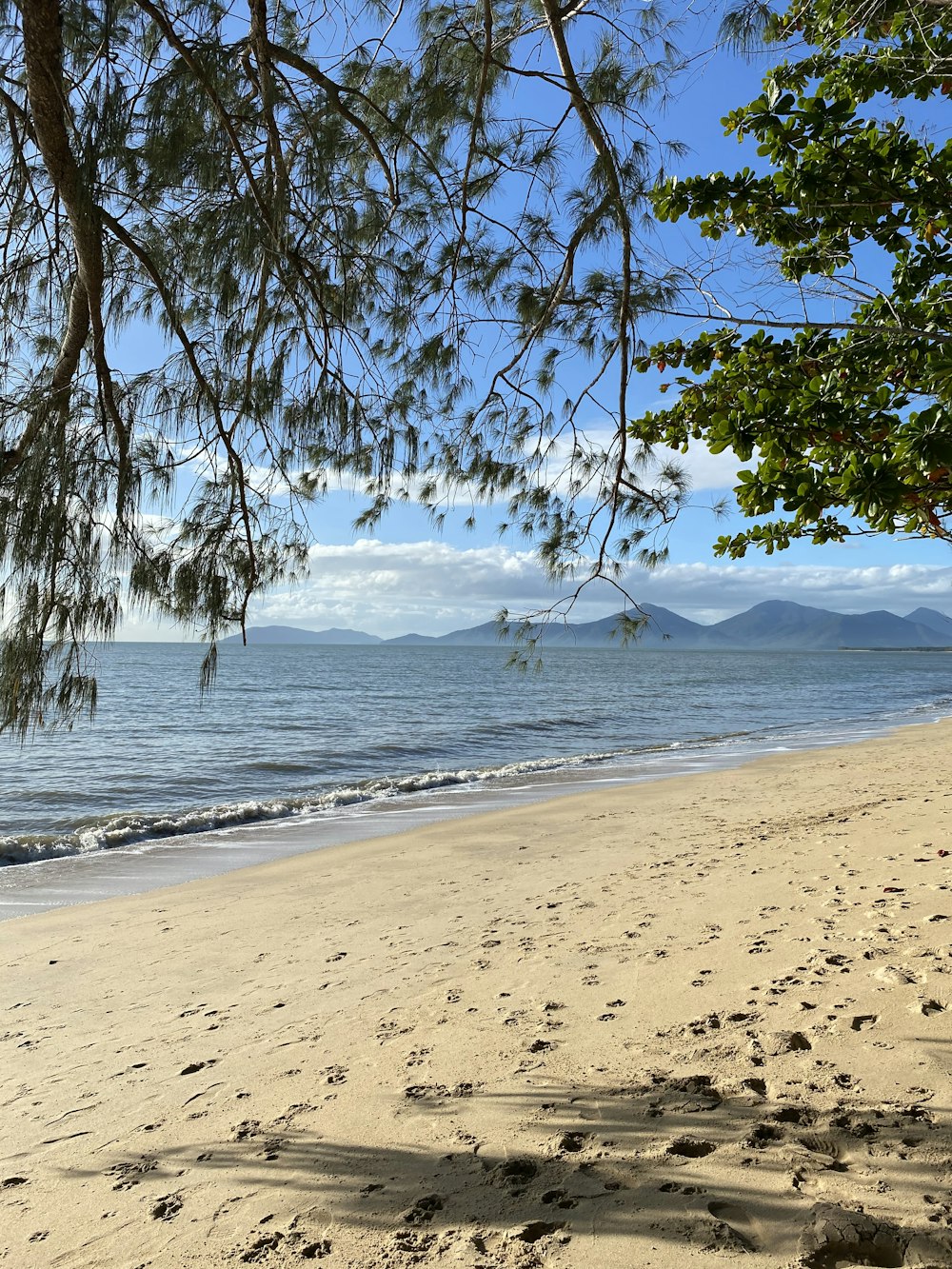 a view of the ocean from a sandy beach