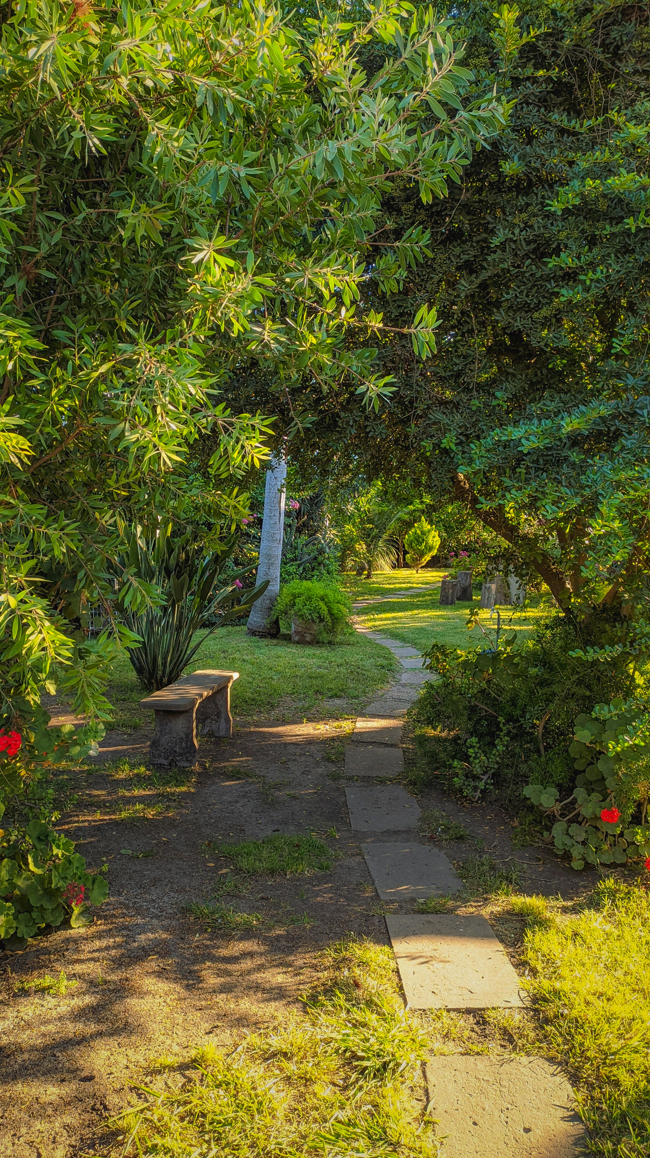 a bench sitting under a lush green tree