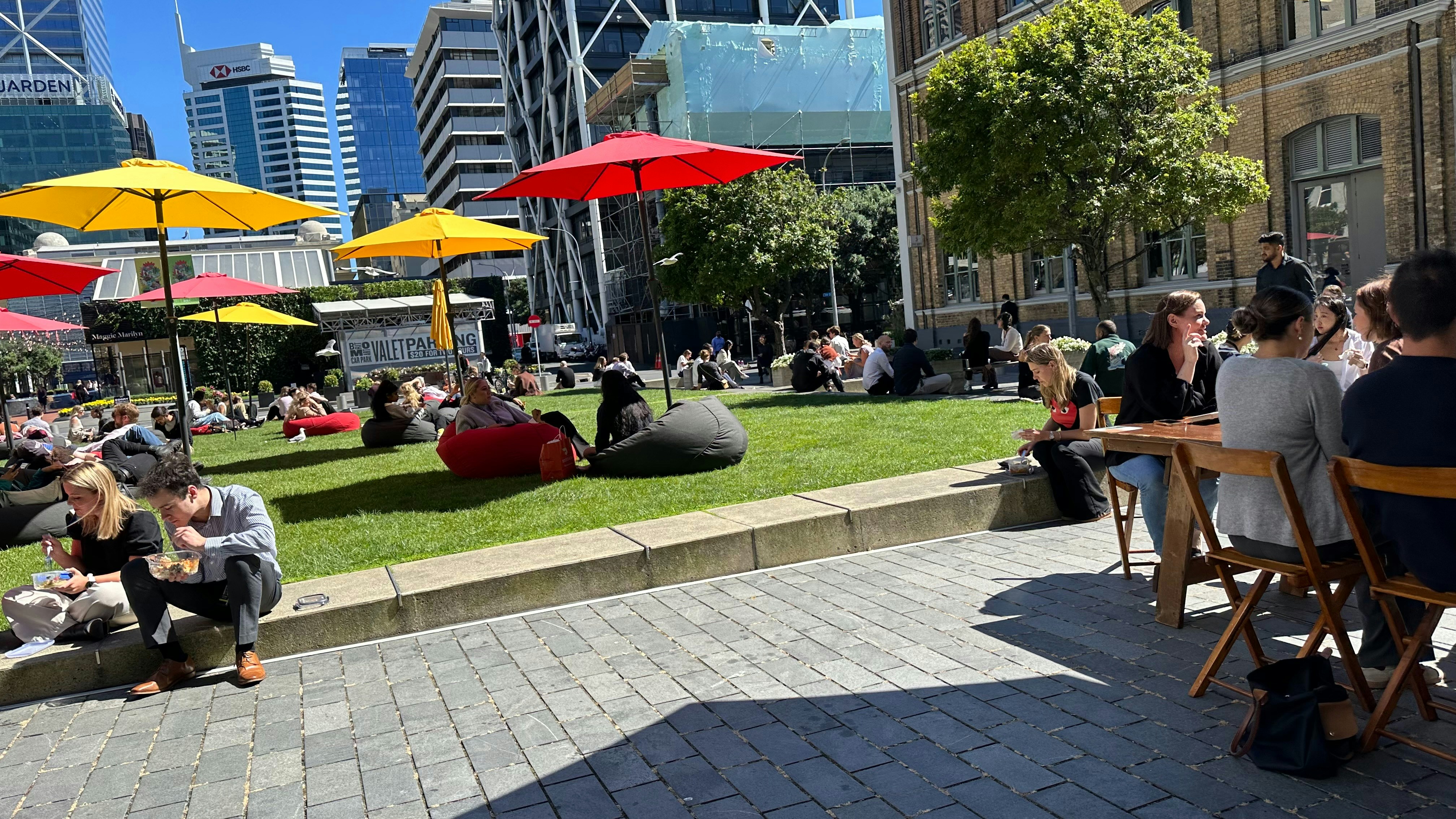 a group of people sitting on top of a lush green field