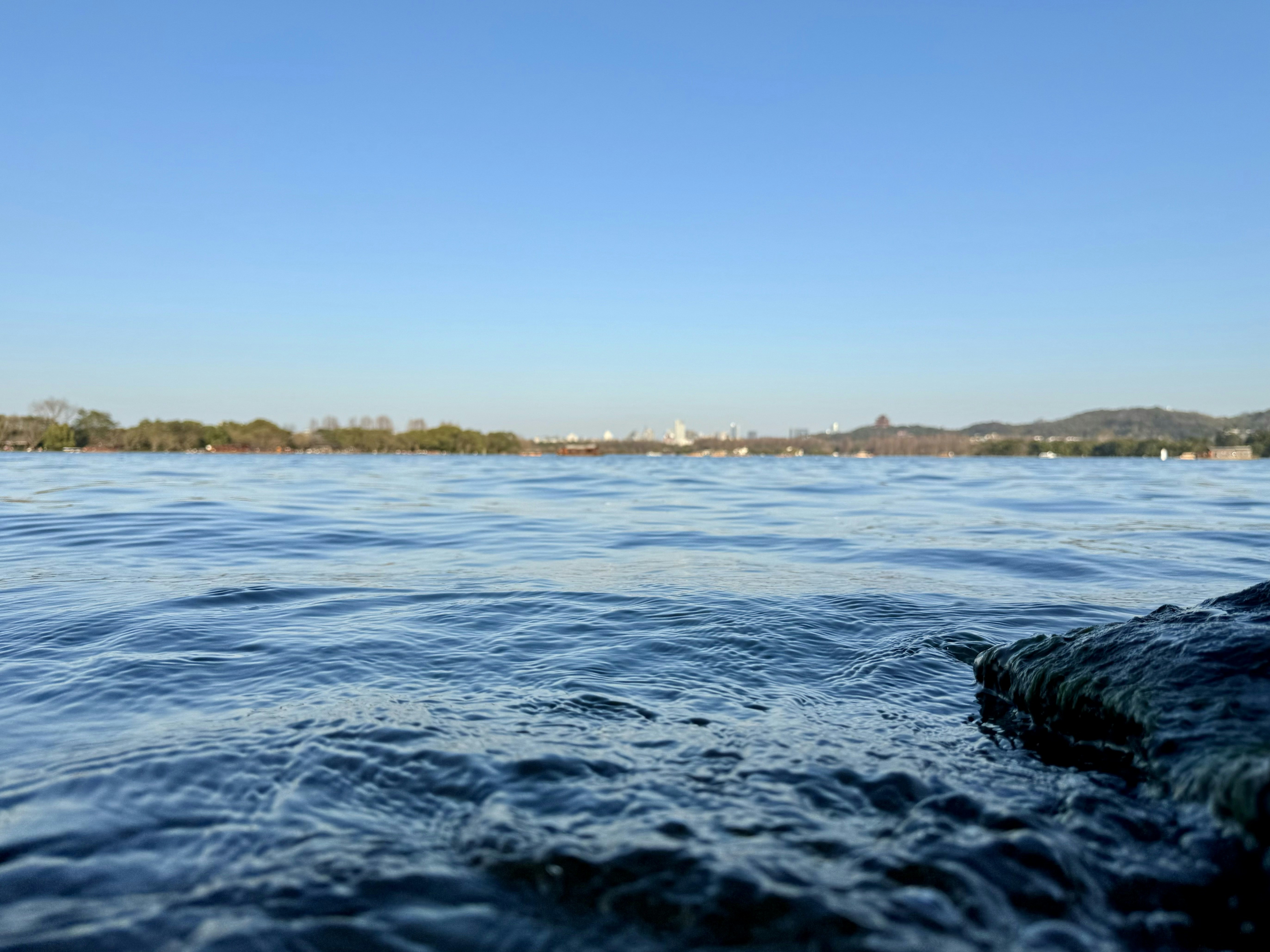 a body of water with trees in the background