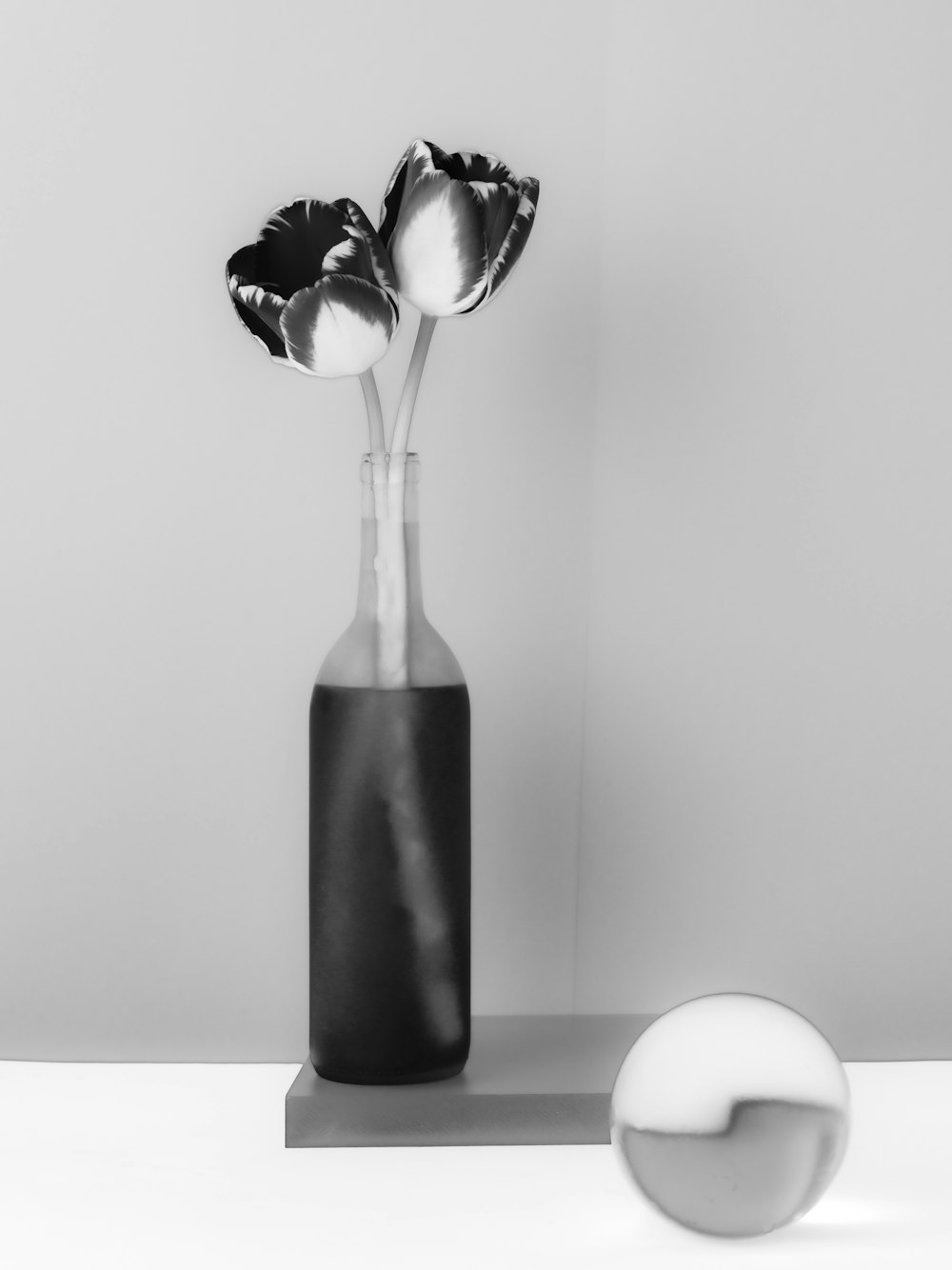 a black and white photo of two flowers in a vase