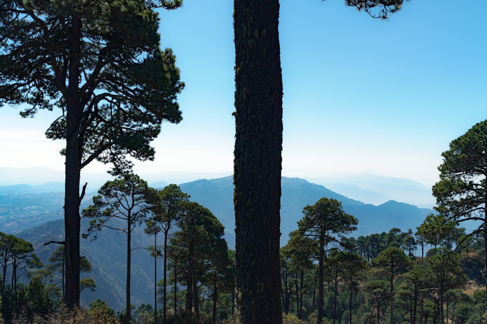 a view of a mountain range from a distance