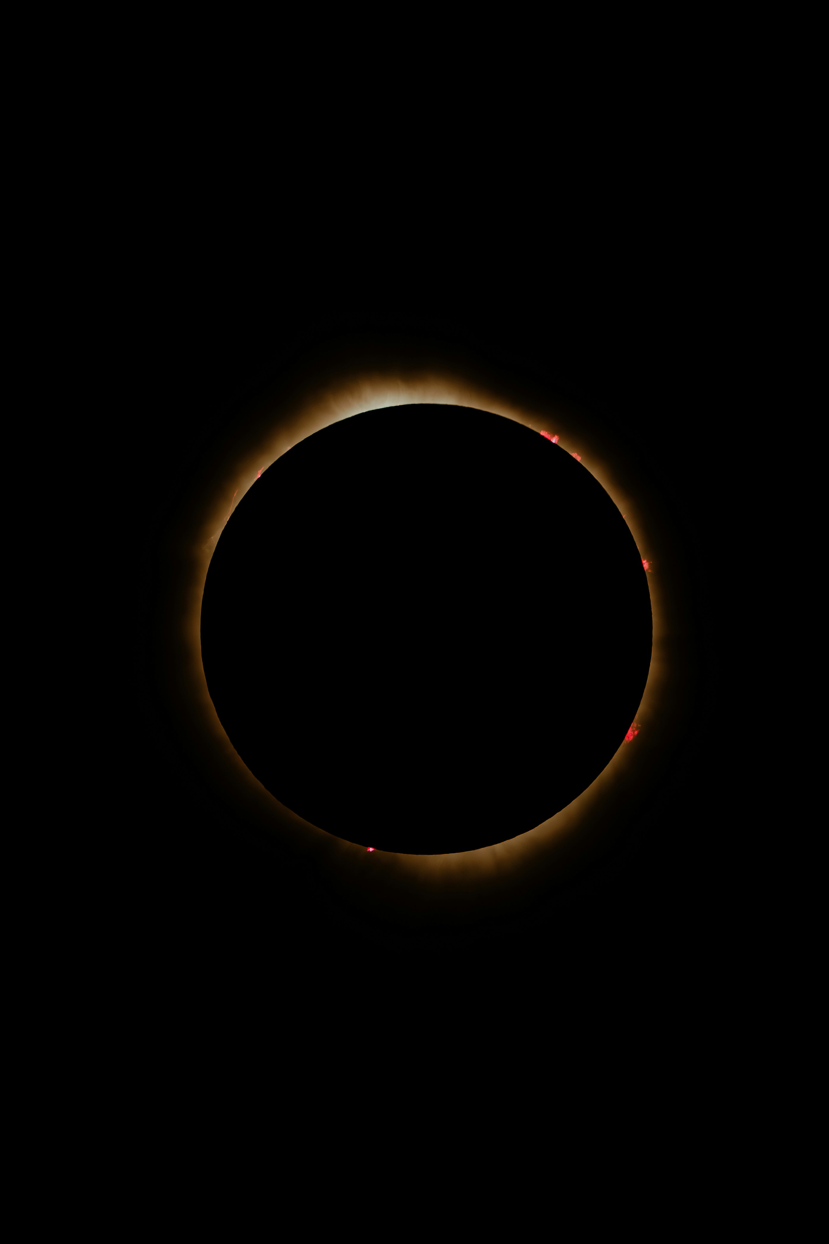 Photo by damiankravchuk