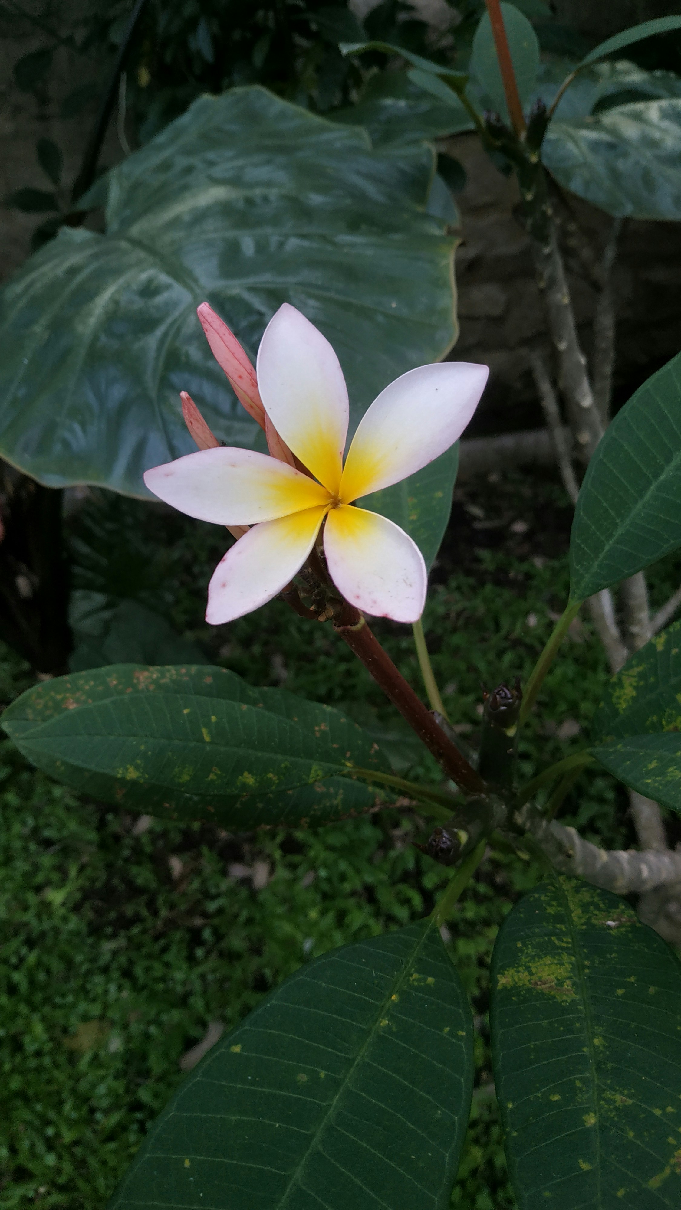 Photo by ainunbalada