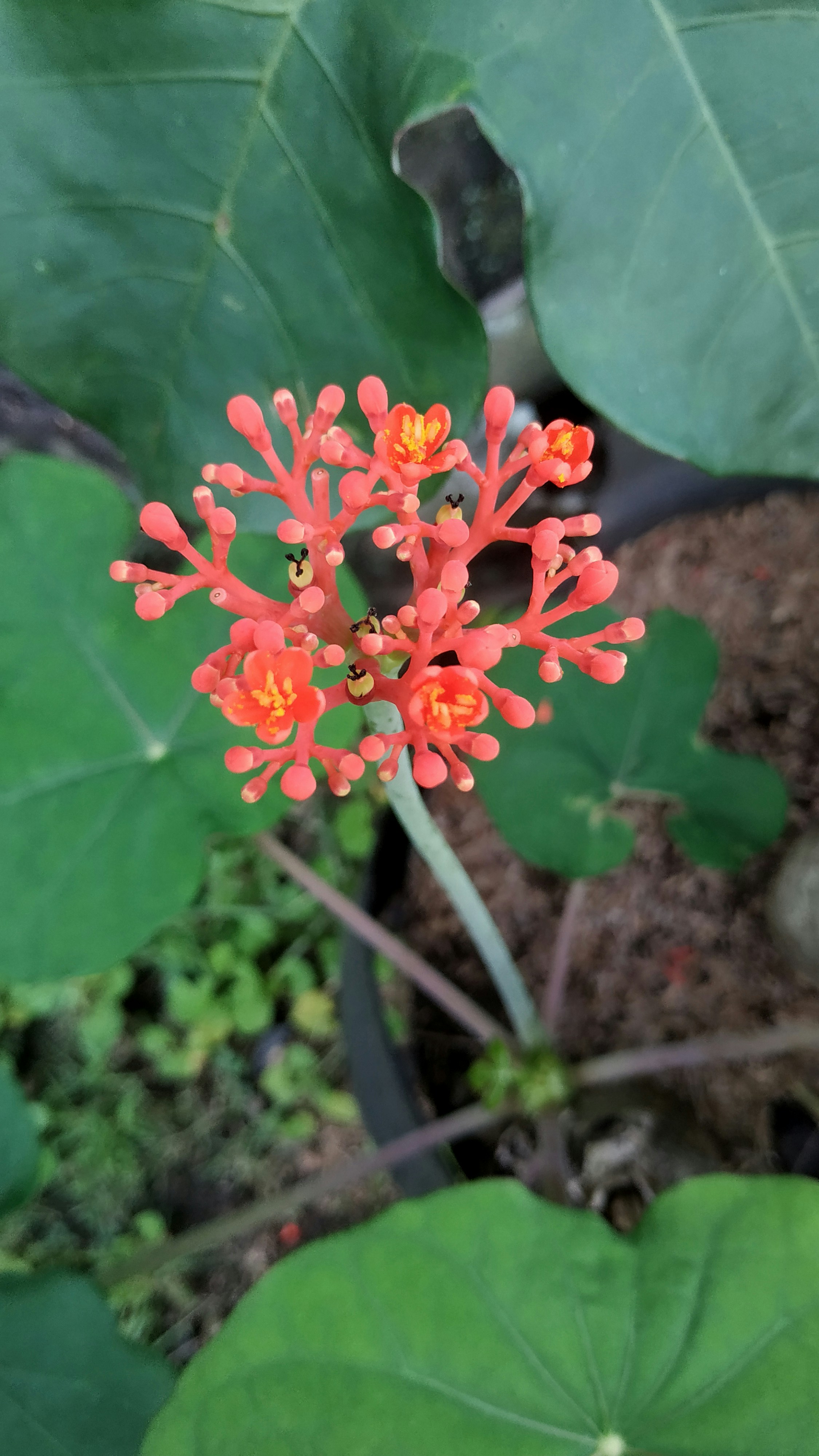 Photo by ainunbalada