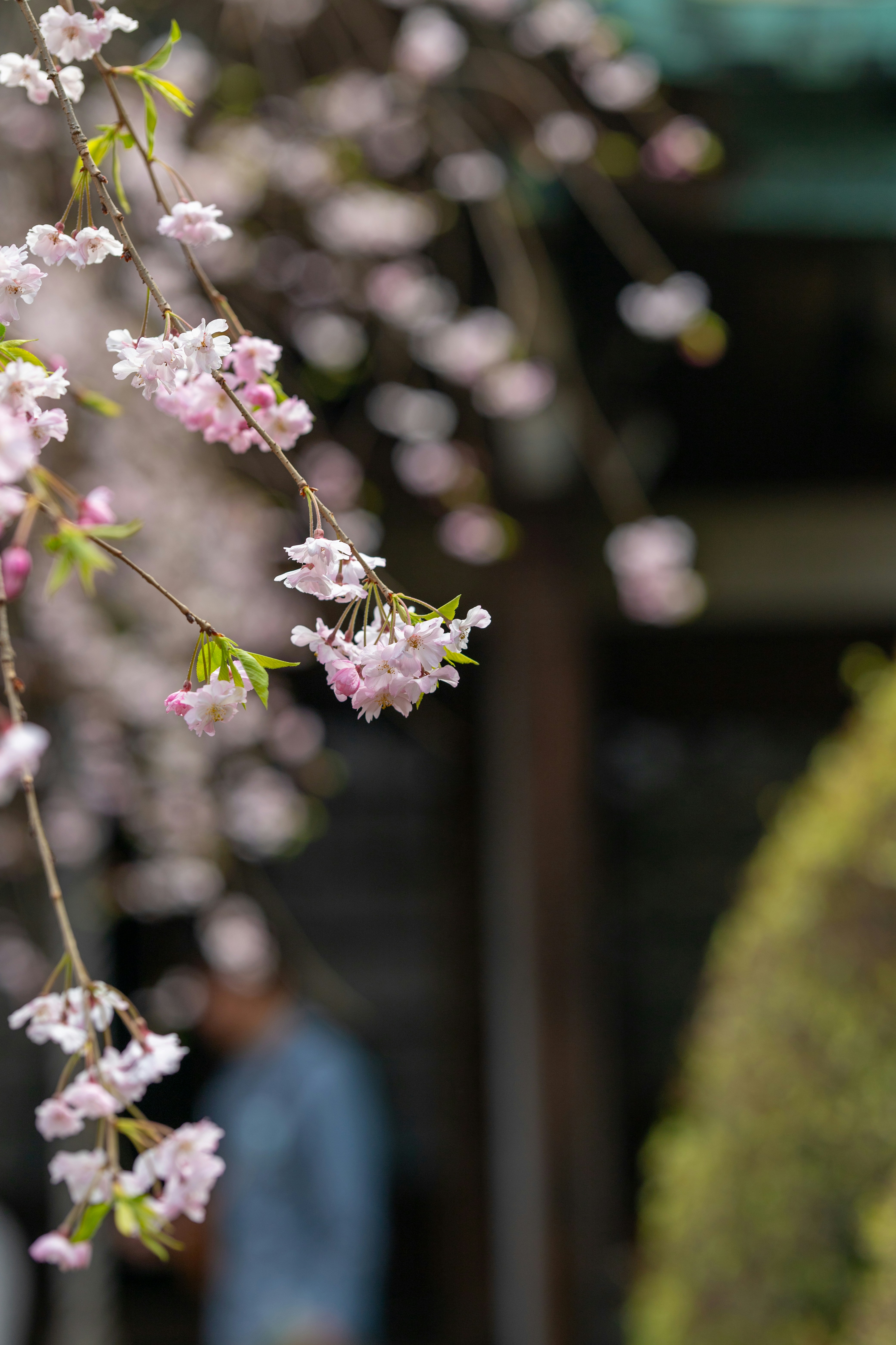 Photo by jeehoo
