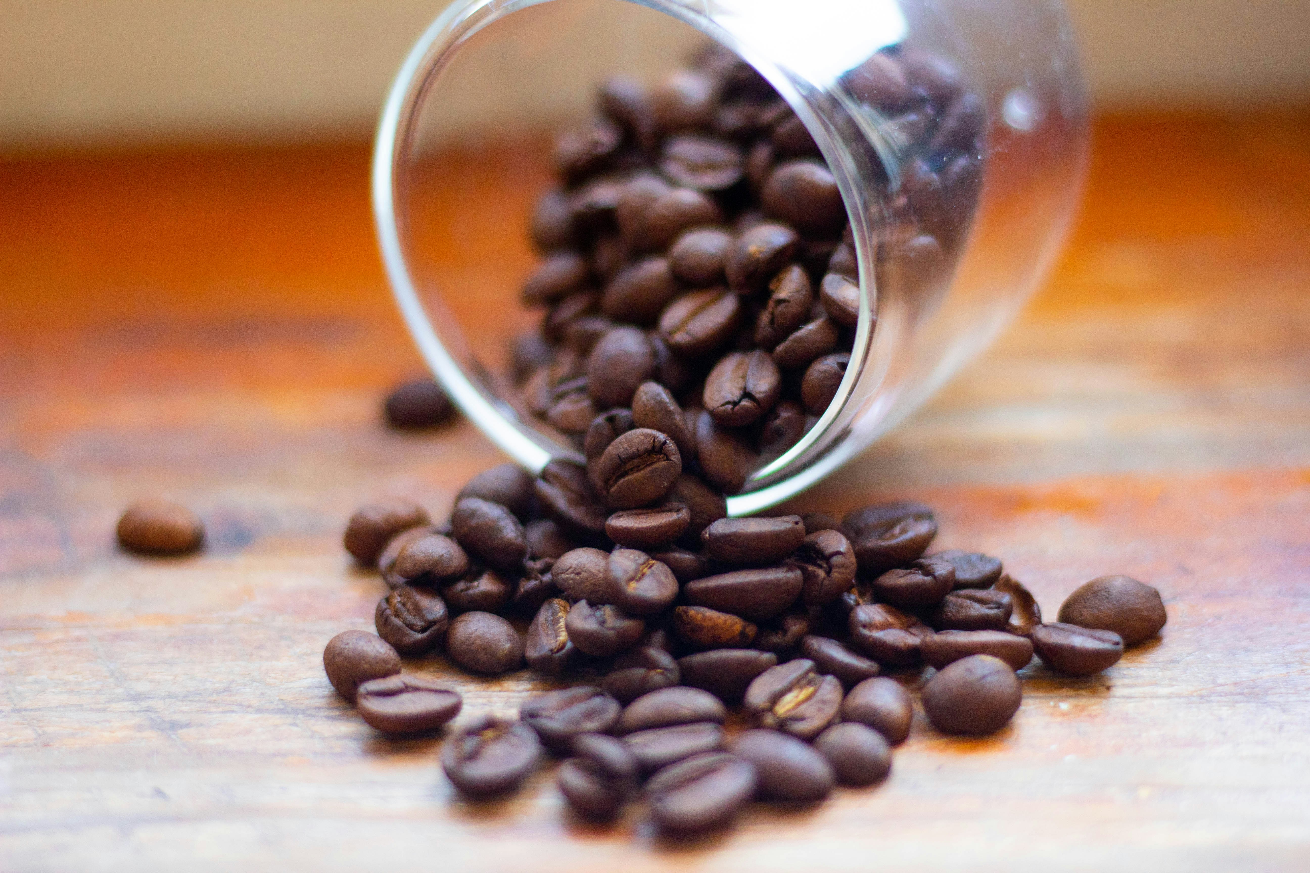 Photo by alexgallegos