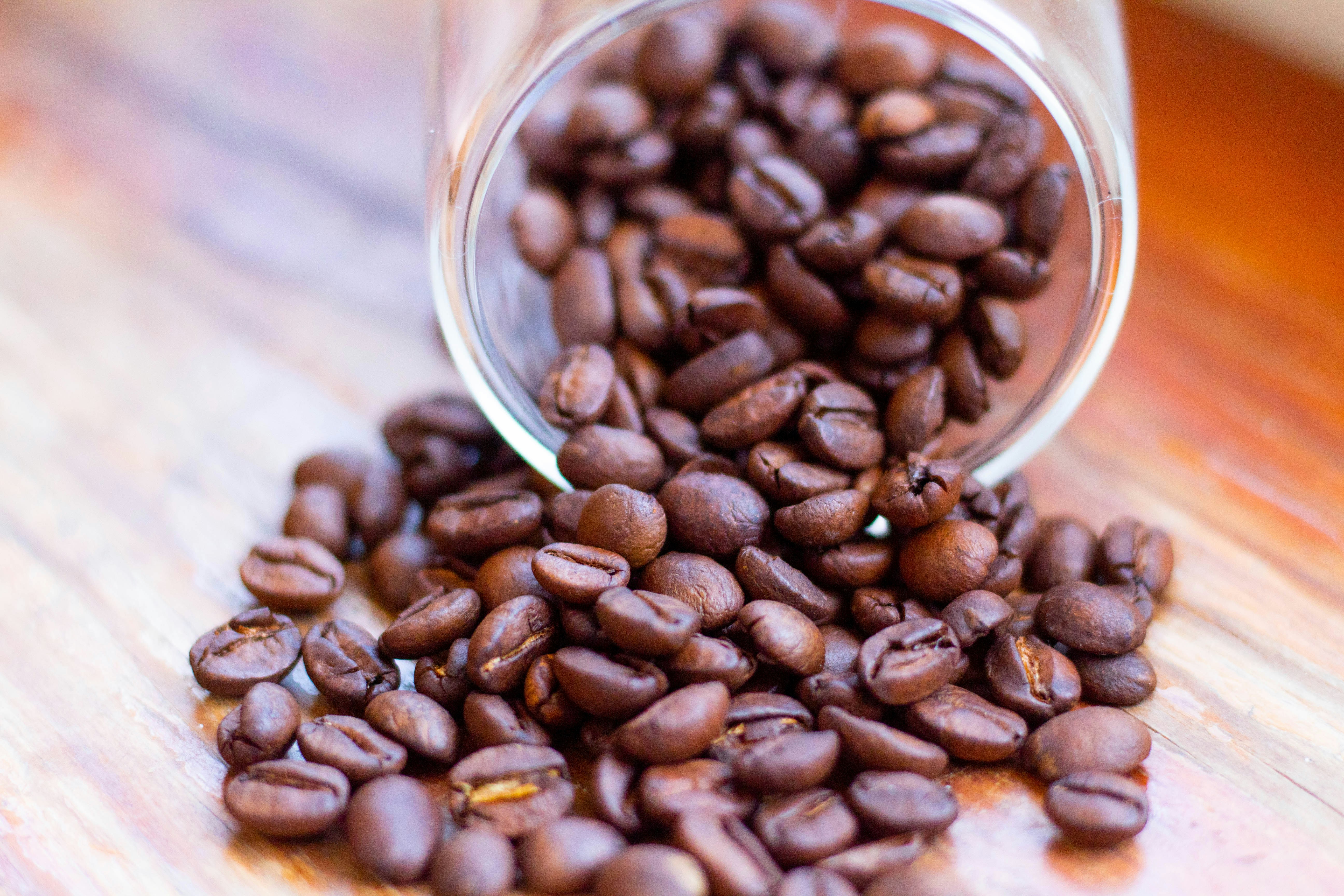 photo-1712637007909-c2b9679e9b80?ixid=M3wxMjA3fDB8MXxzZWFyY2h8MTJ8fGNvZmZlZSUyMGJlYW5zJTIwYW5kJTIwZ3JvdW5kc3xlbnwwfHx8fDE3NzEwOTI5ODh8MA\u0026ixlib=rb-4.1.0