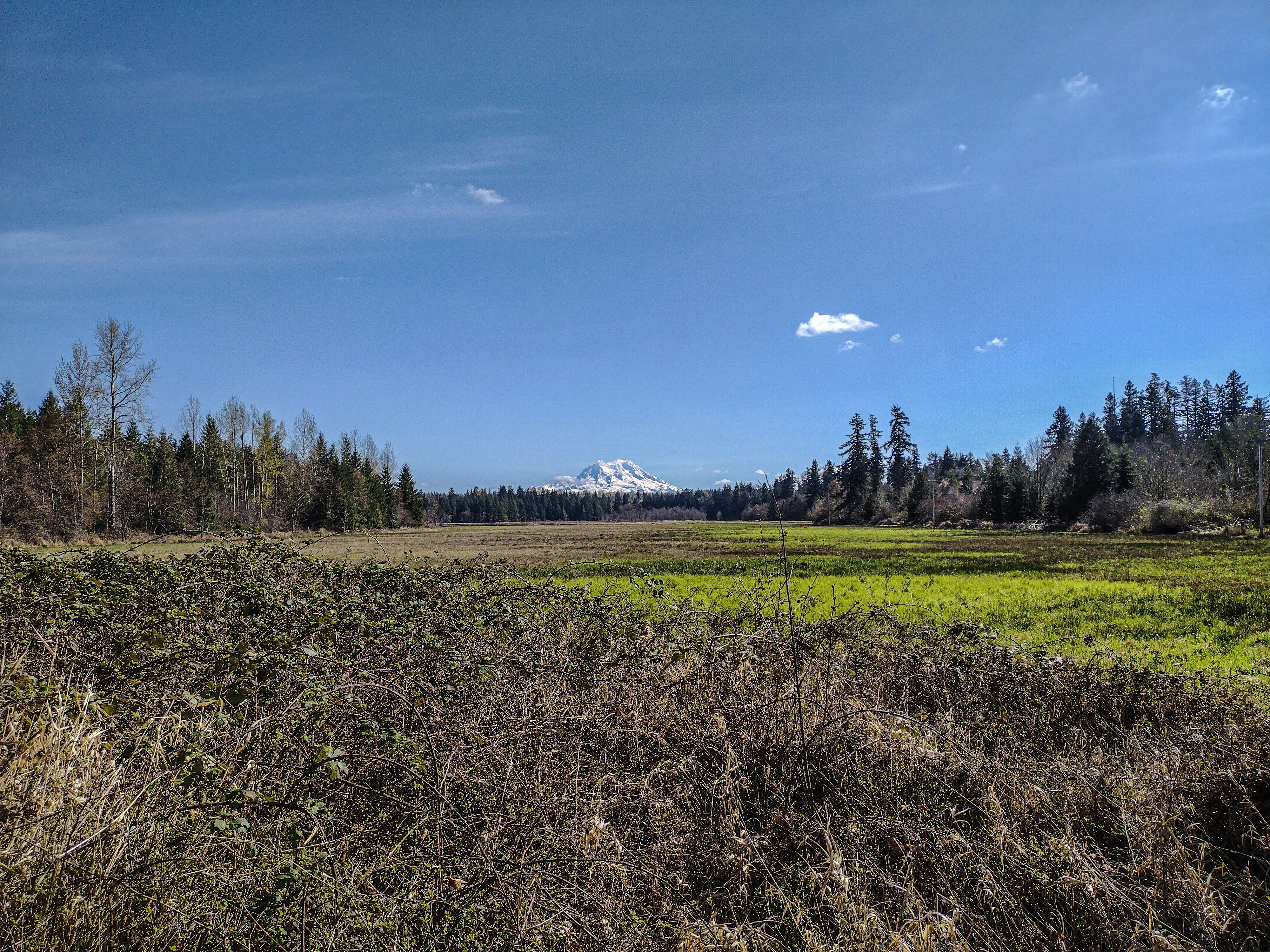 Photo by prphotography262