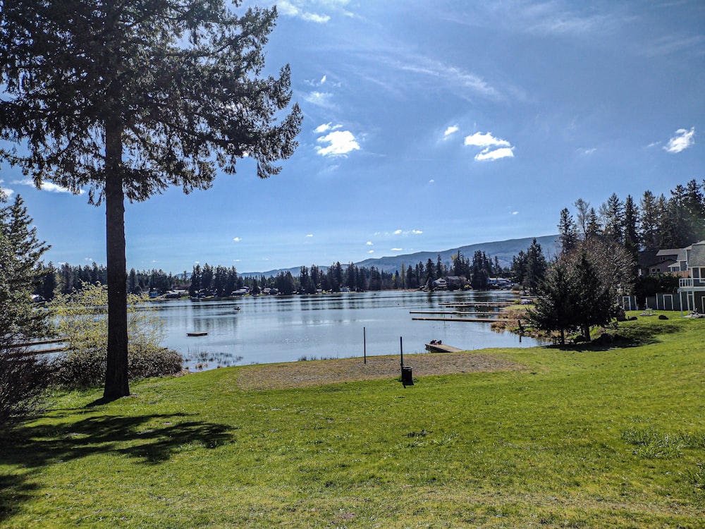 a lake surrounded by trees and a house