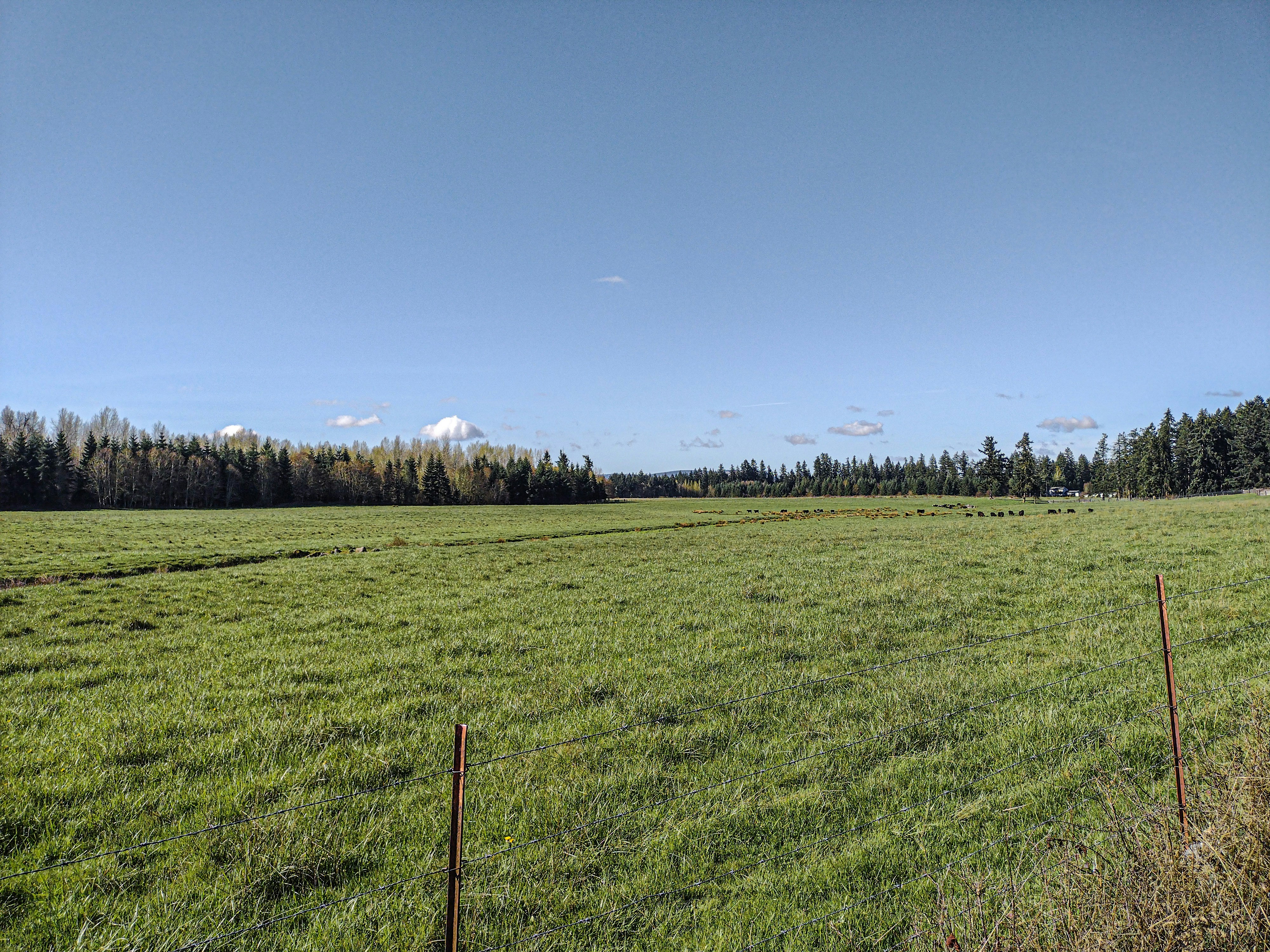 Photo by prphotography262