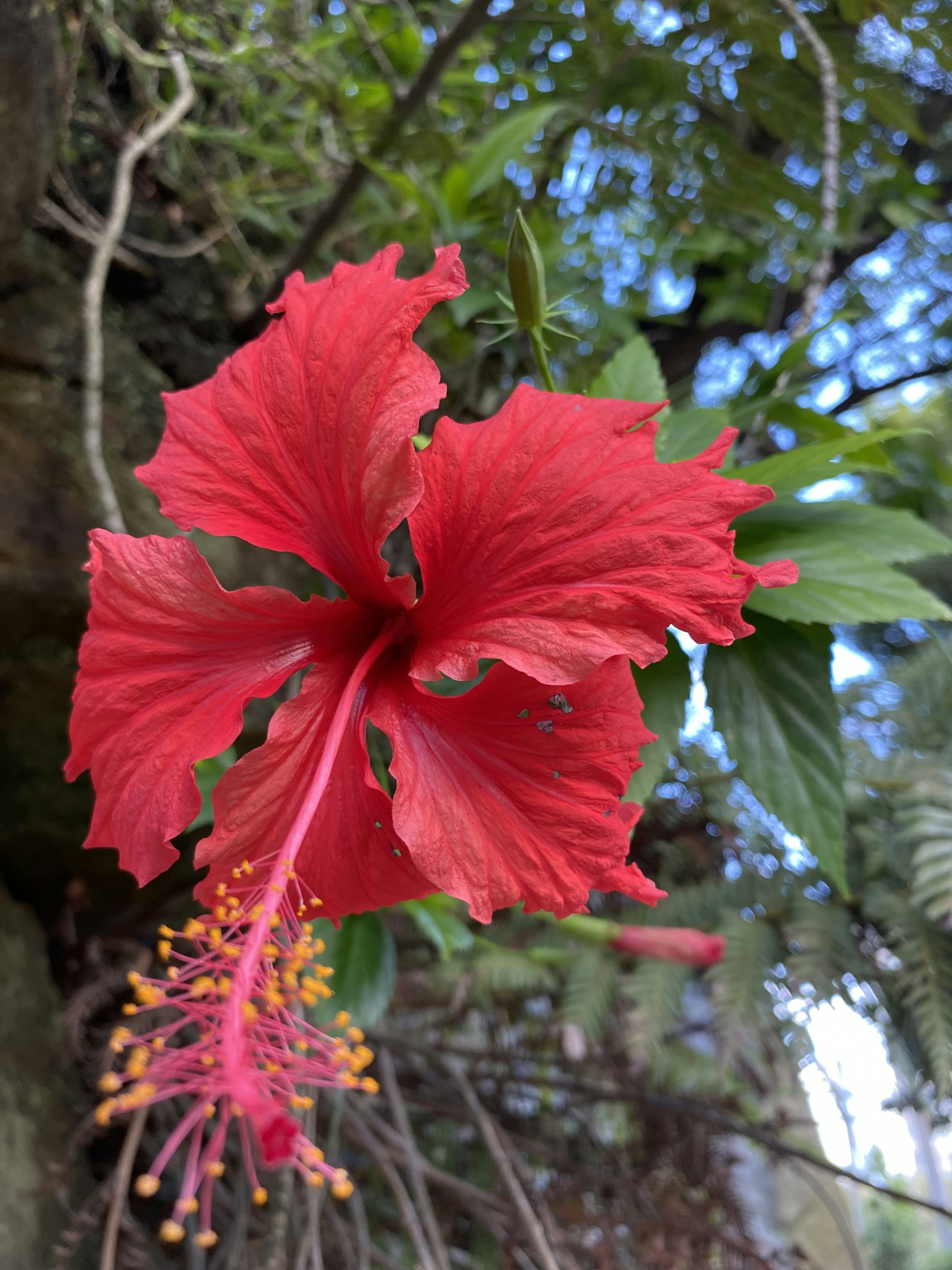 Photo by shereeglasson