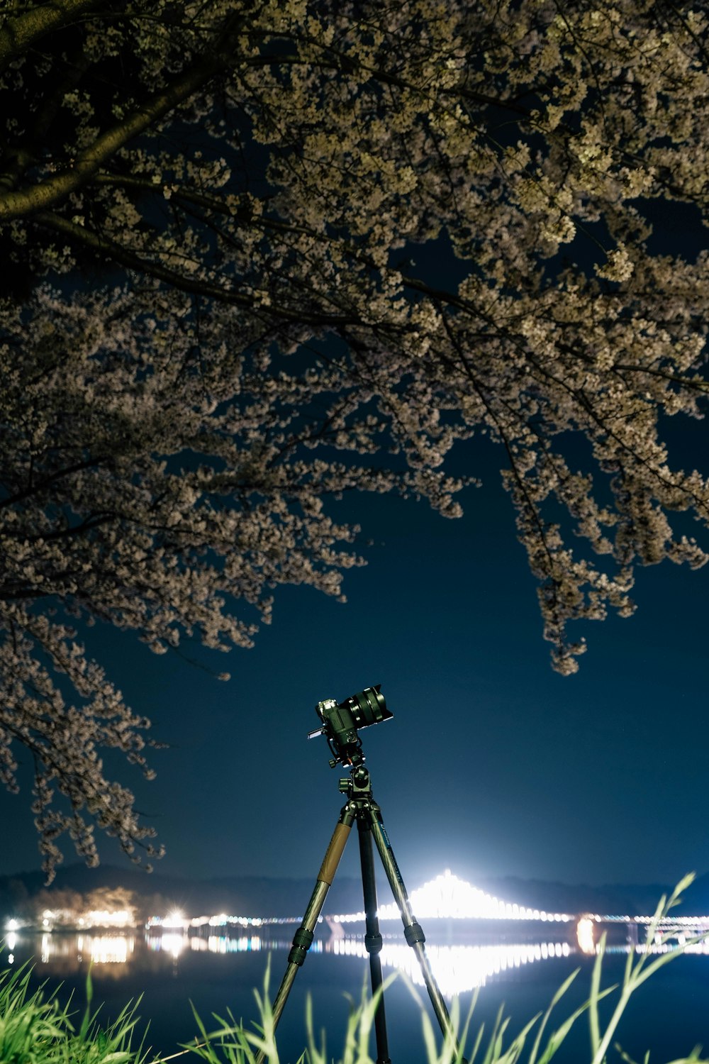 a tripod sitting on top of a lush green field