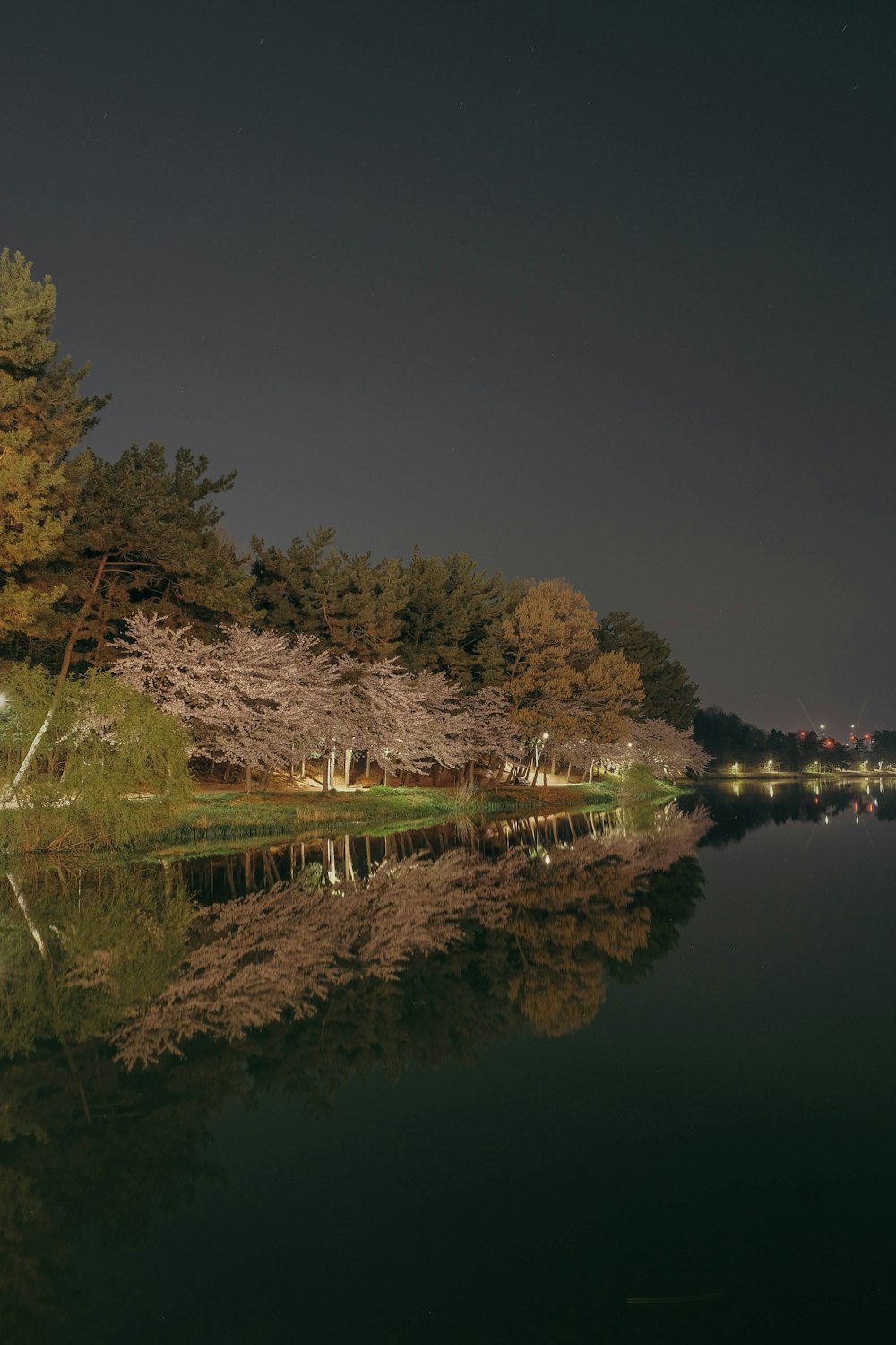 a body of water surrounded by trees at night