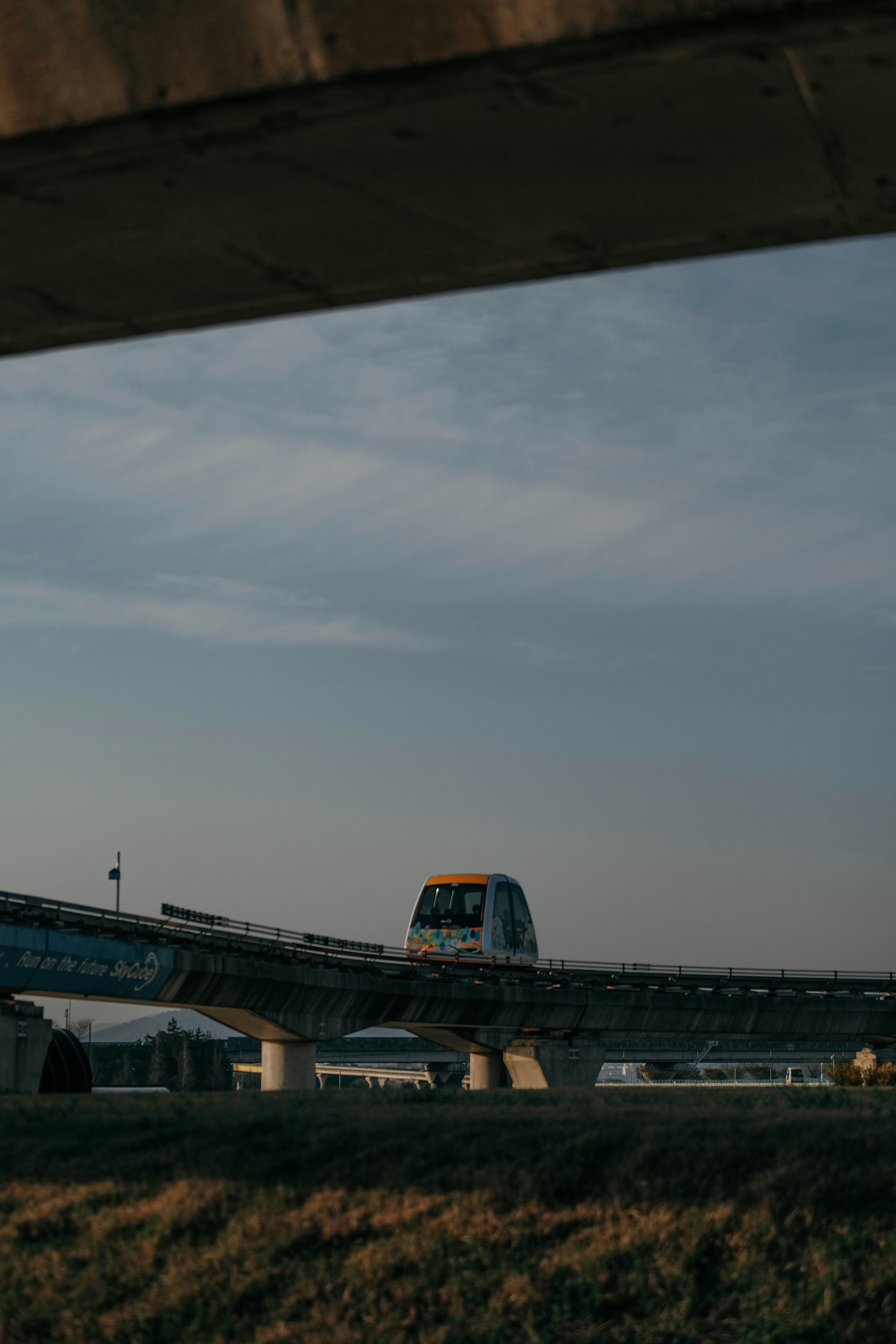 Photo by insungpandora