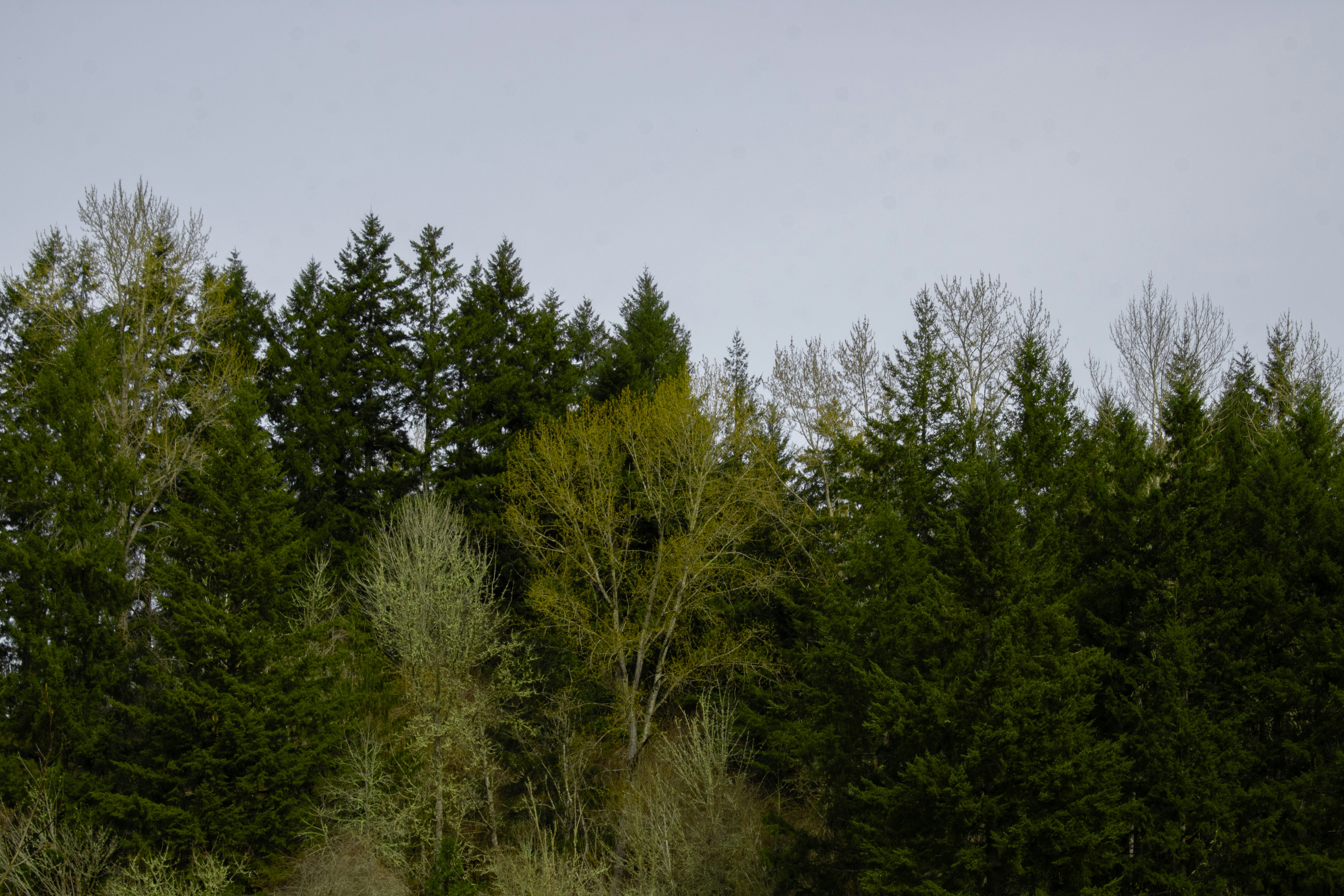 Photo by prphotography262