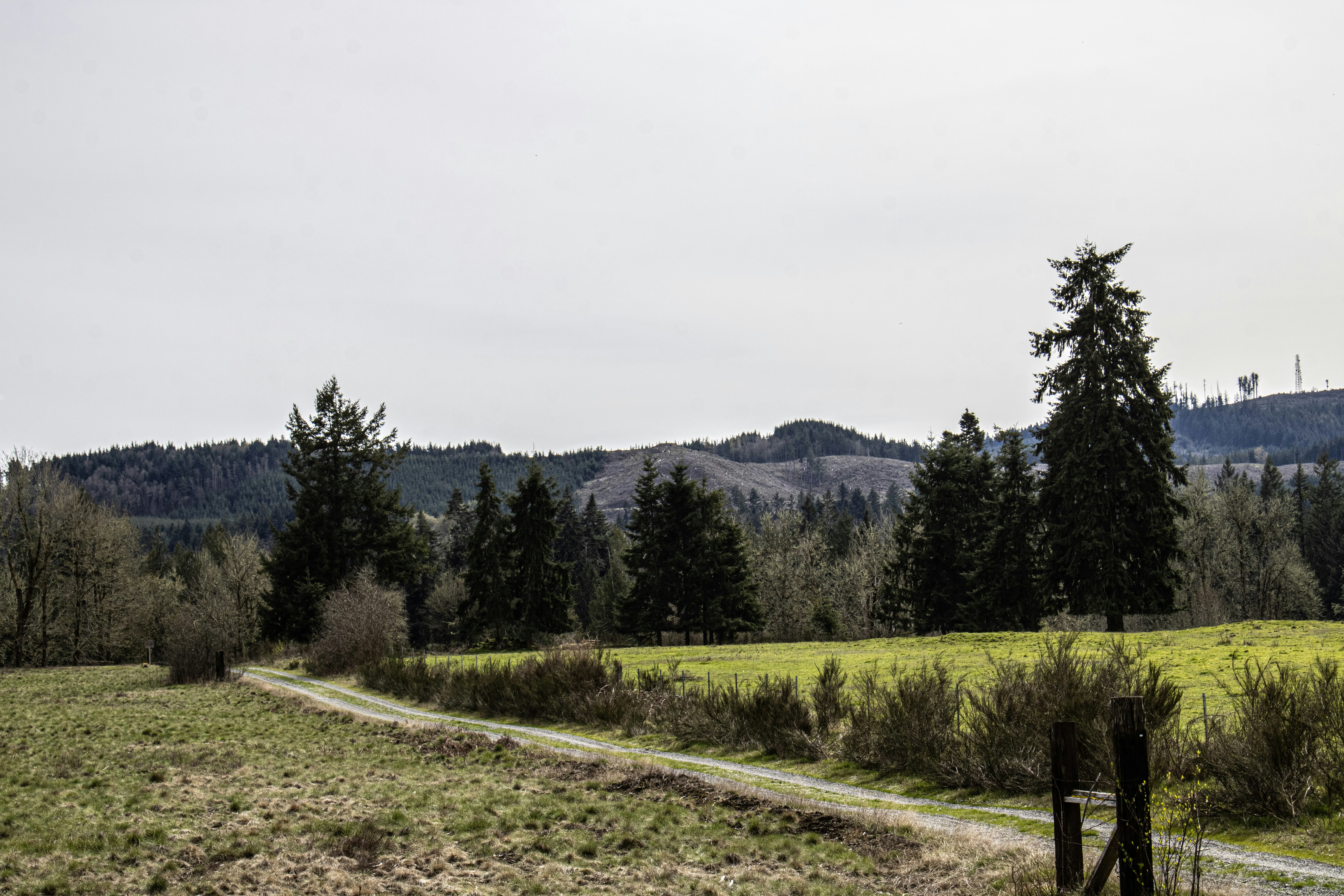 Photo by prphotography262