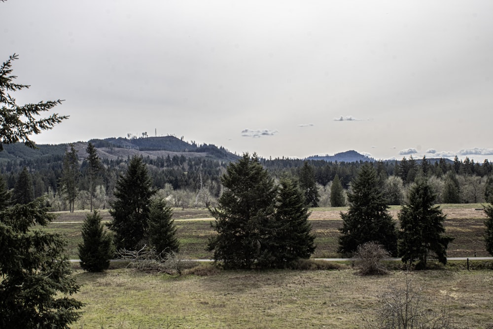 a field with trees and mountains in the background