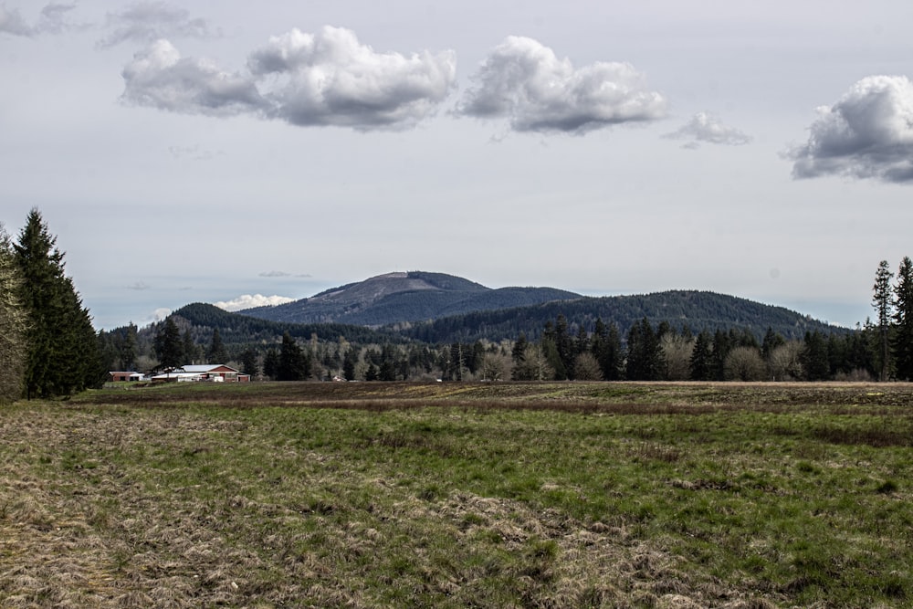 a field with a mountain in the background