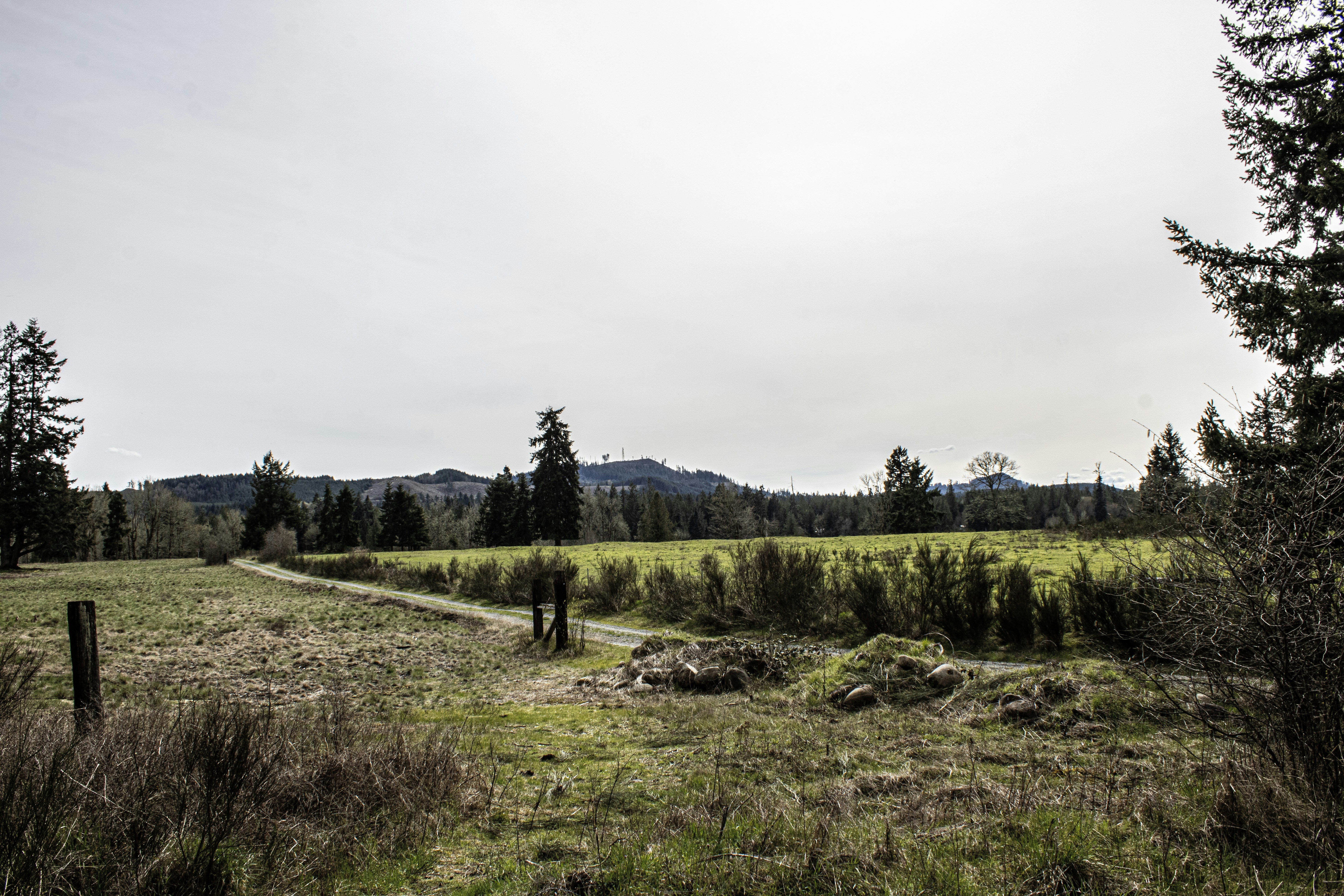 Photo by prphotography262