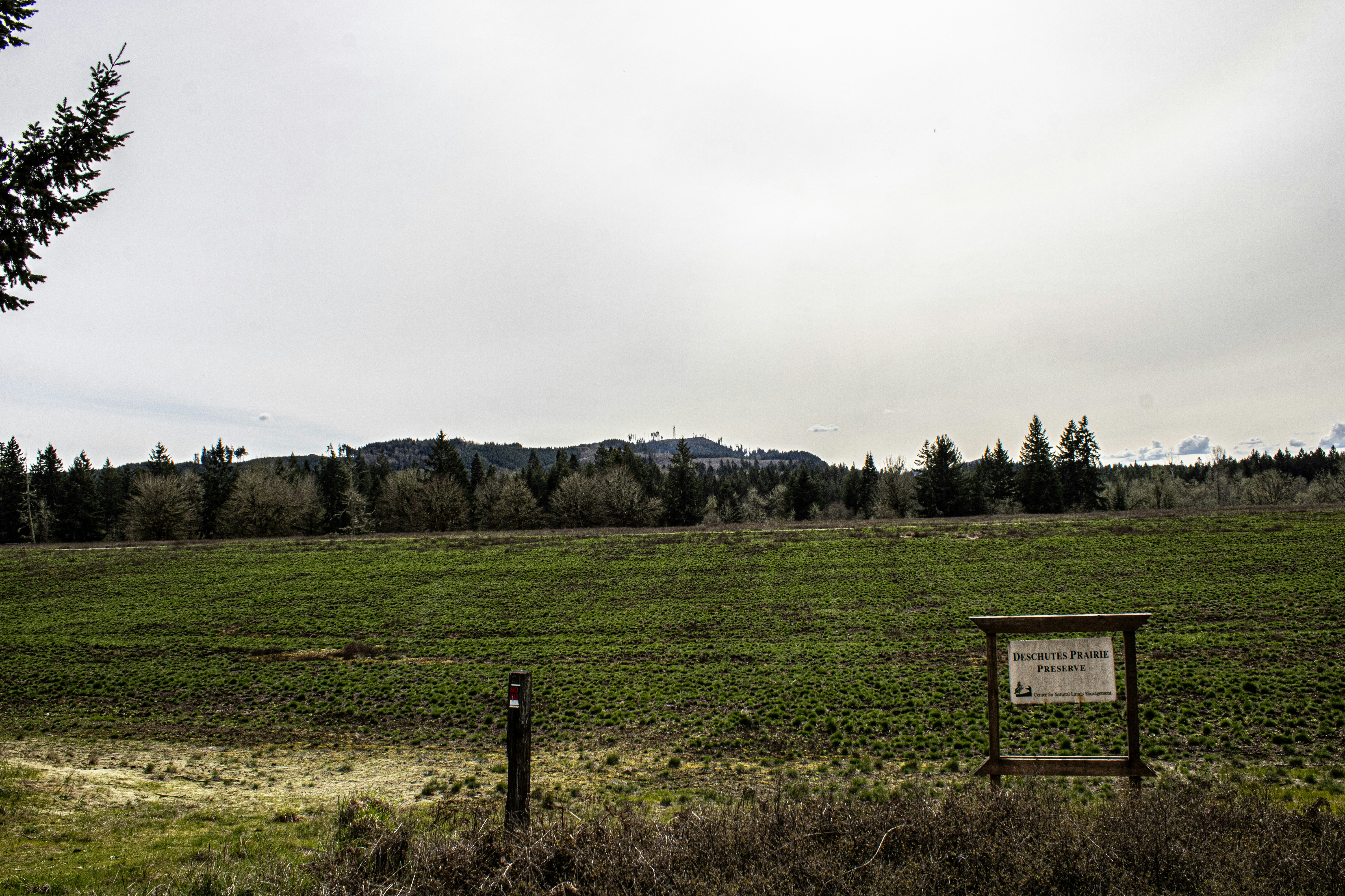 Photo by prphotography262