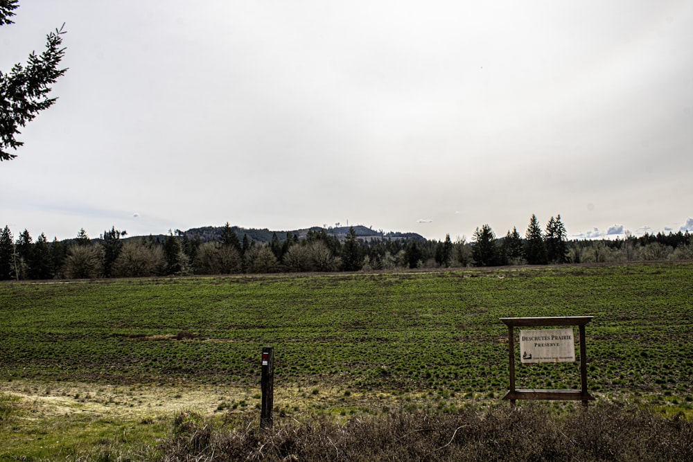 a field with a sign in the middle of it