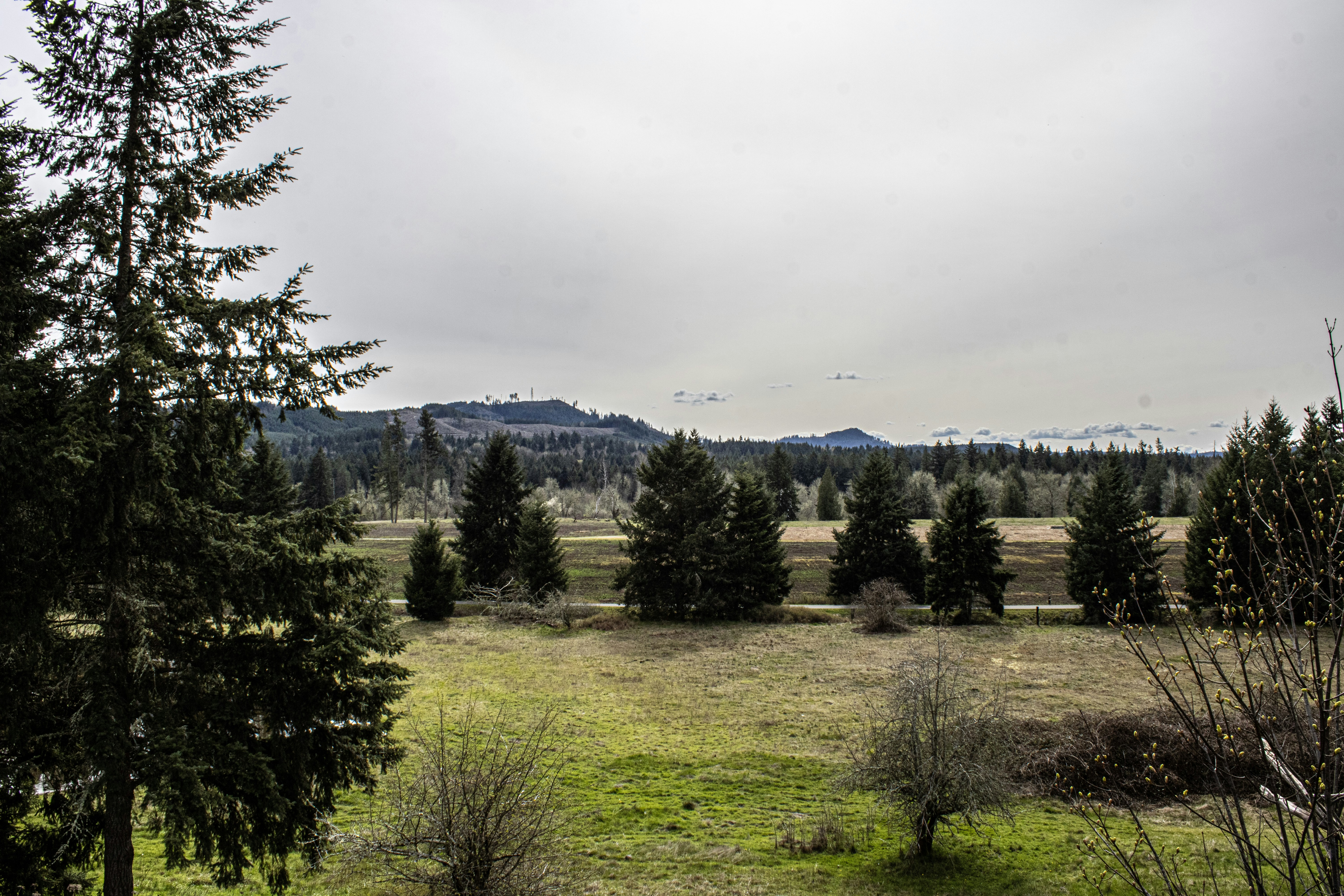 Photo by prphotography262