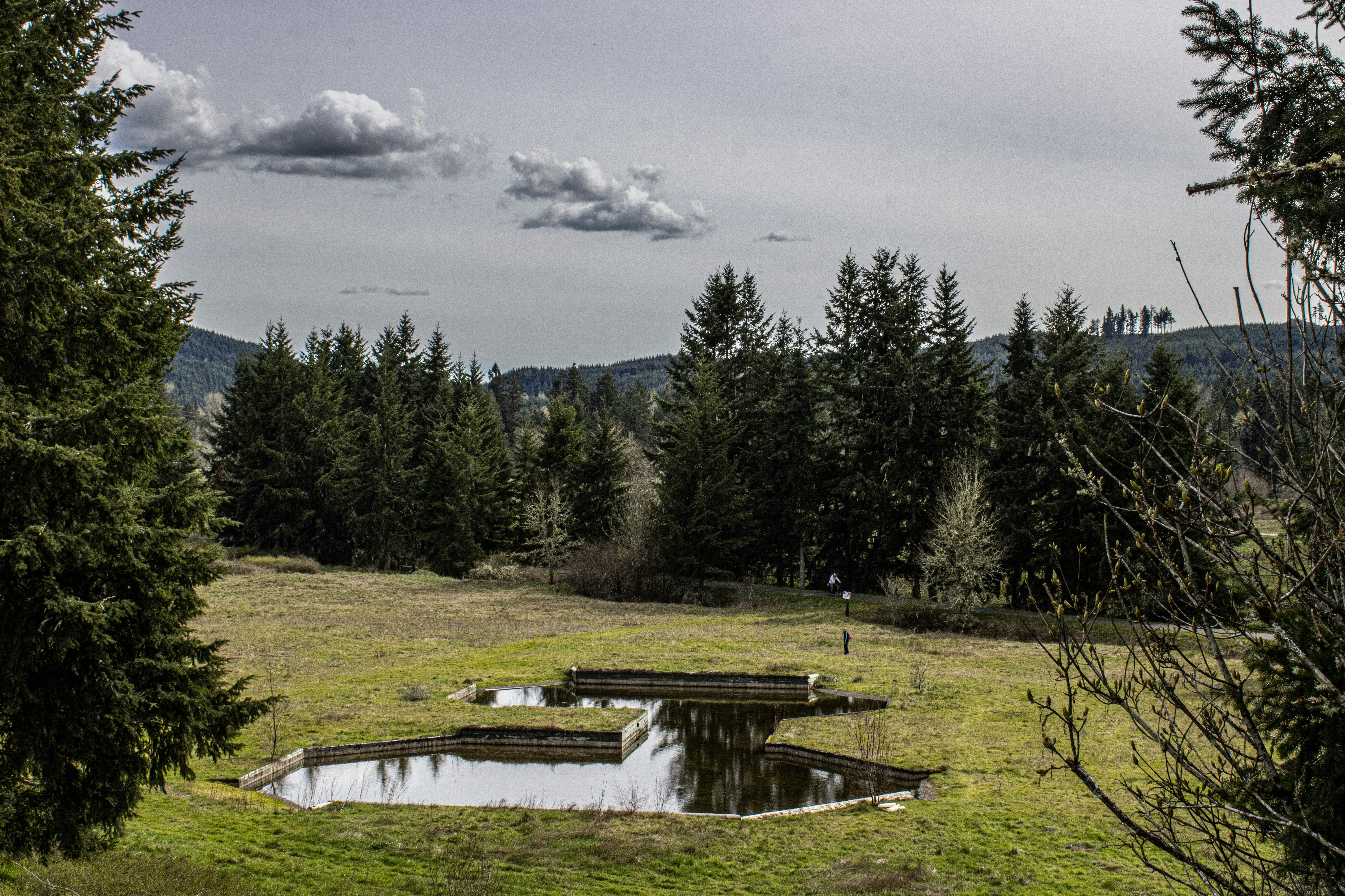 Photo by prphotography262