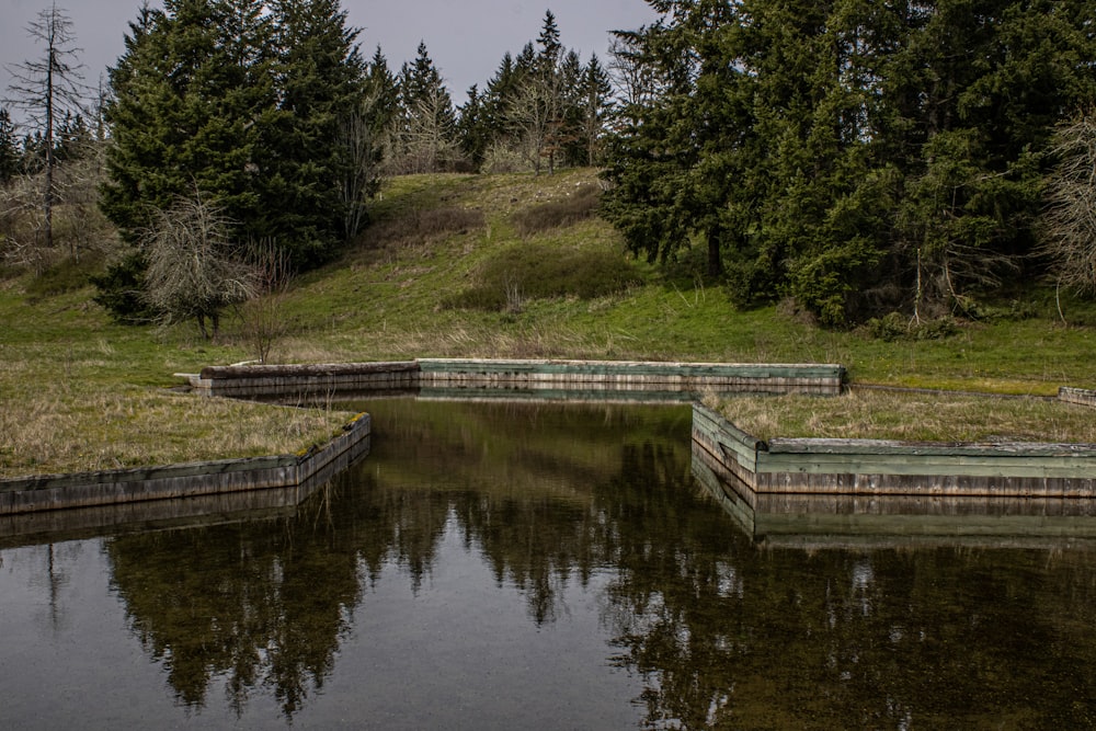 a body of water surrounded by lots of trees