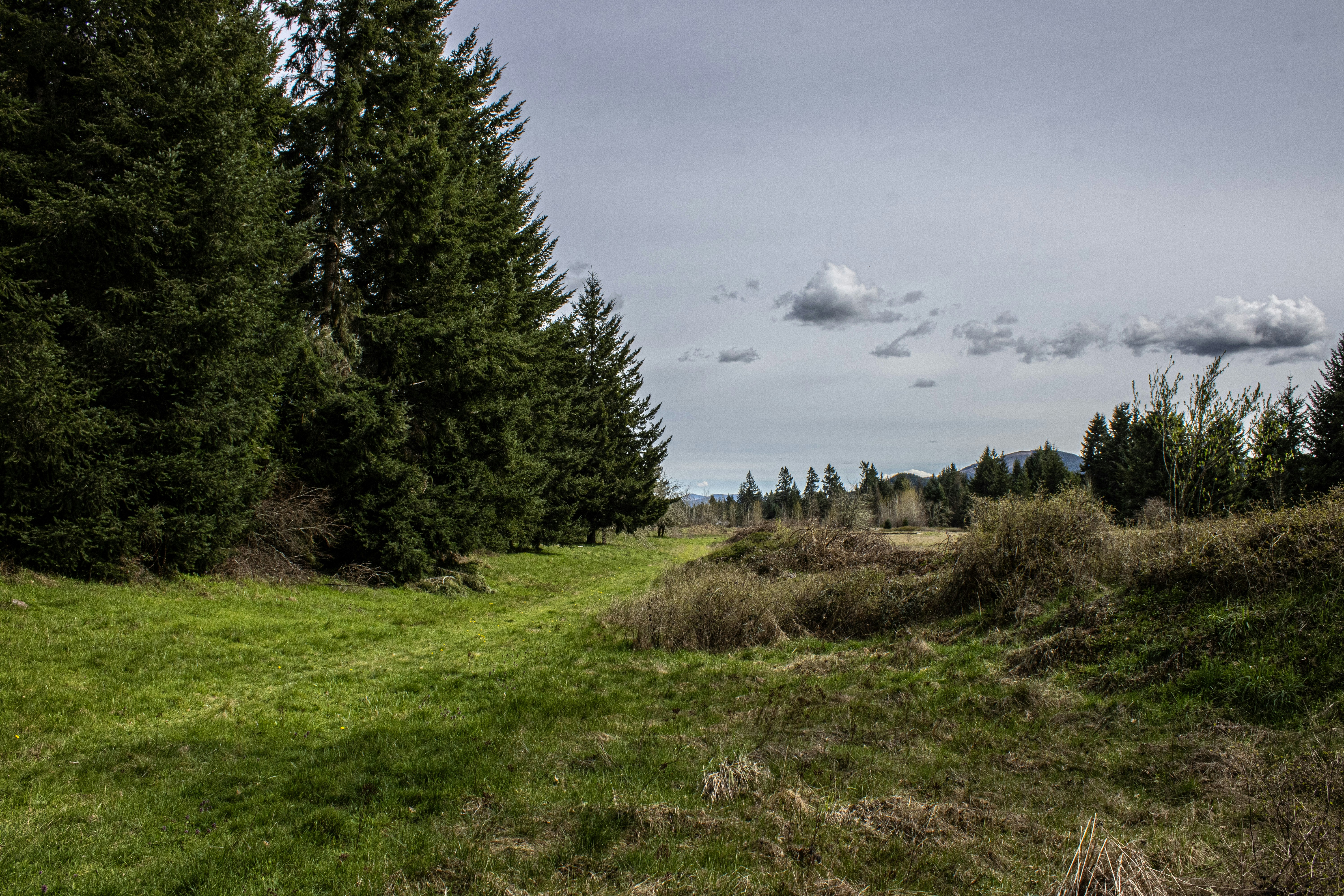 Photo by prphotography262