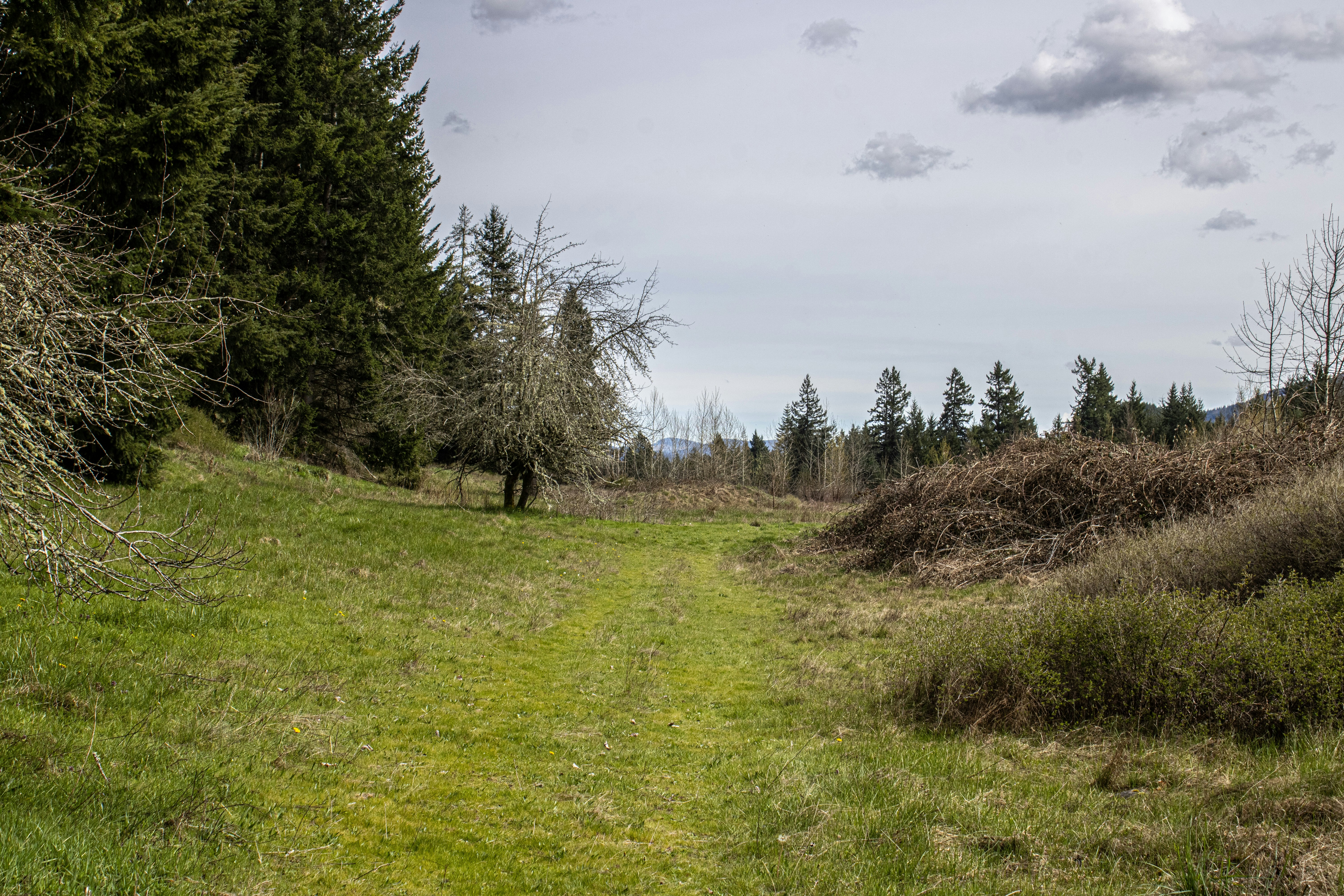 Photo by prphotography262