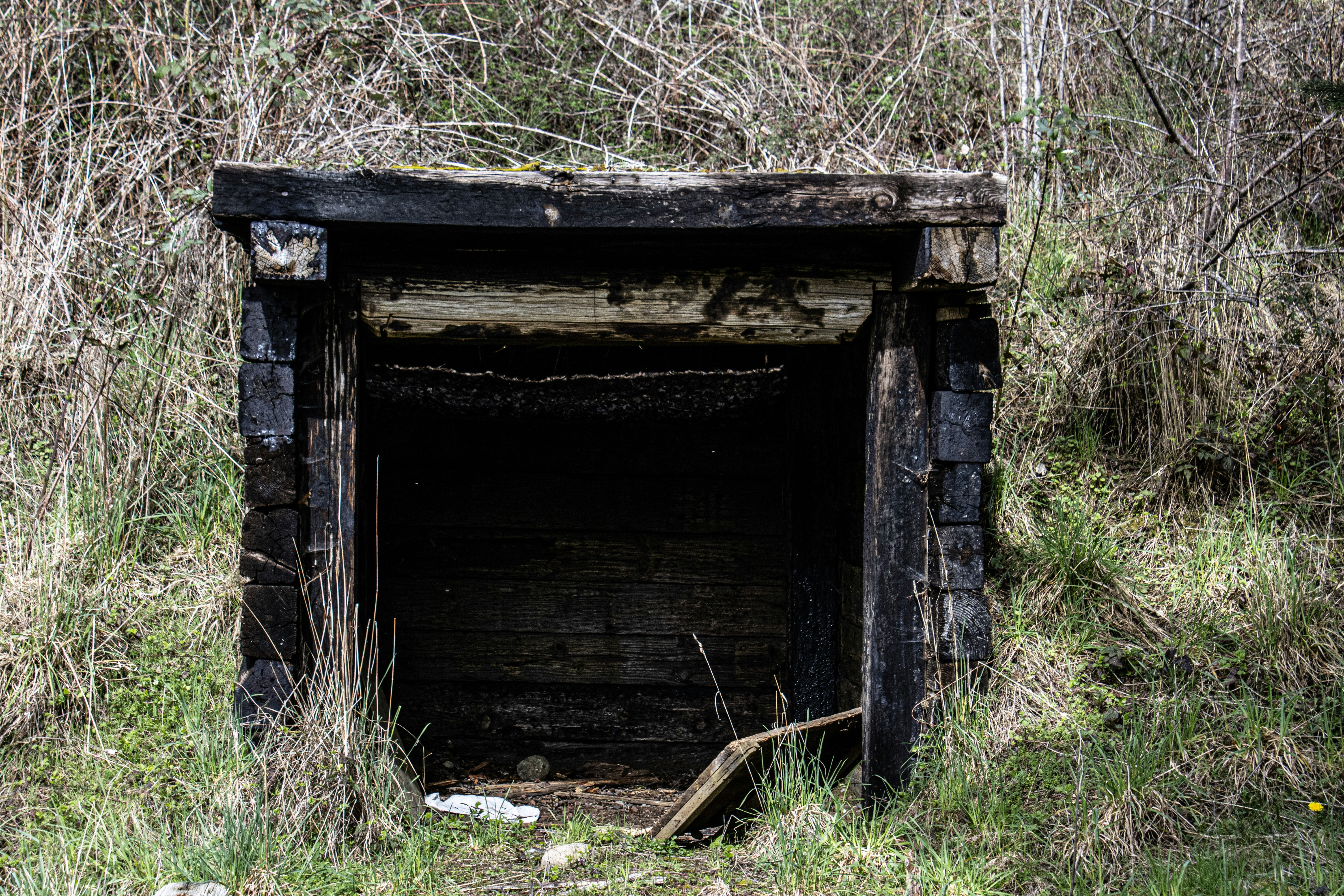 Photo by prphotography262