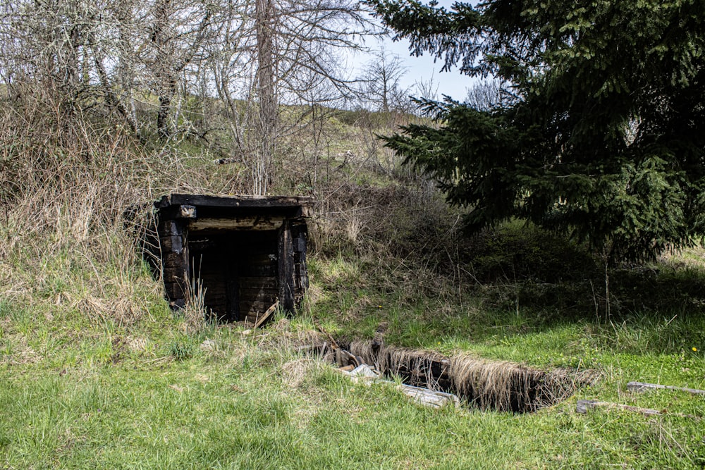 an old outhouse in the middle of the woods