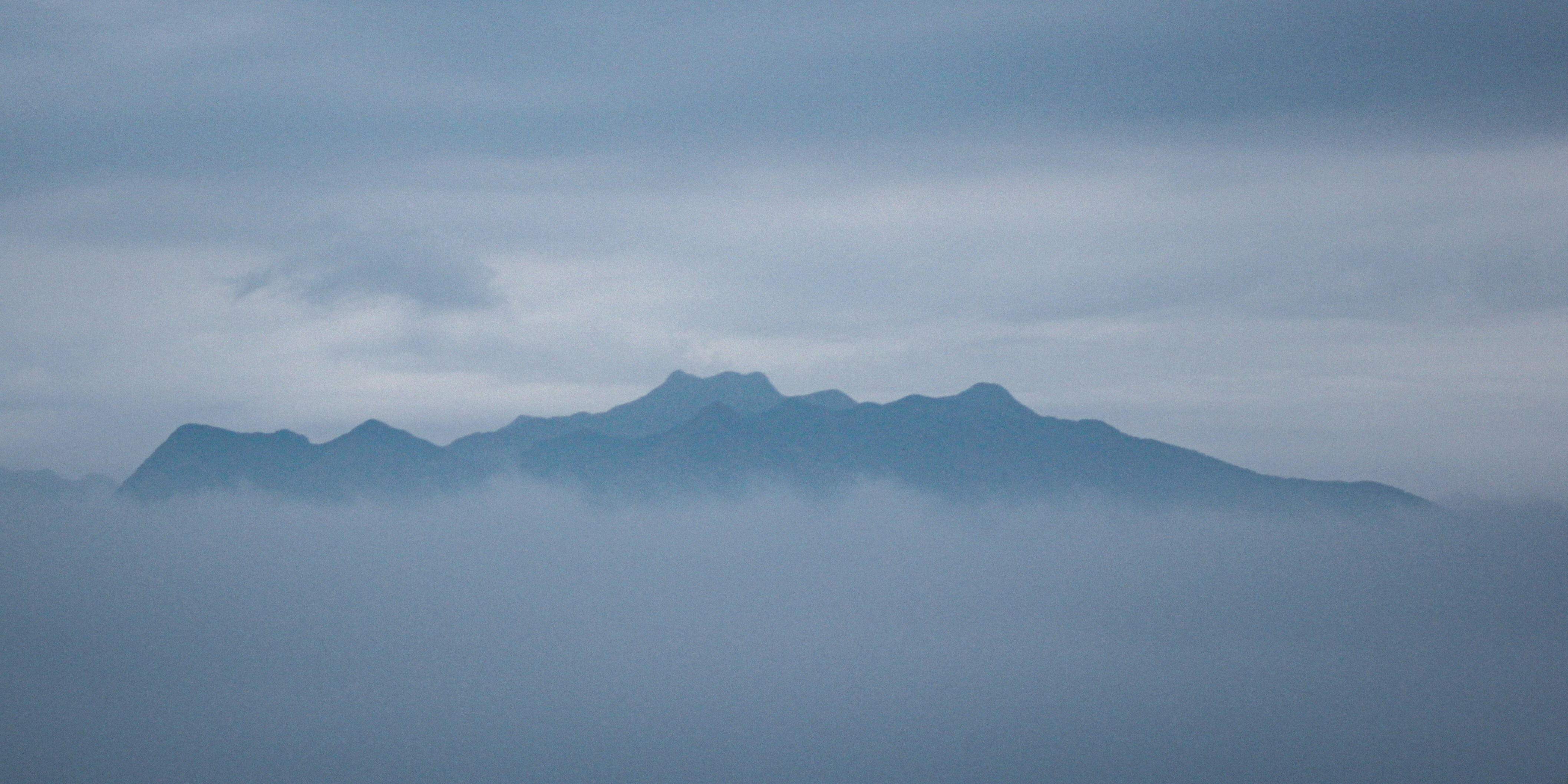 Photo by davissherine