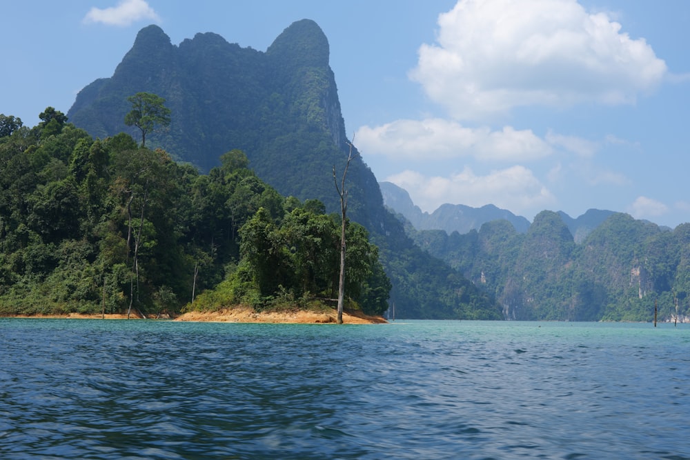 a body of water surrounded by mountains and trees