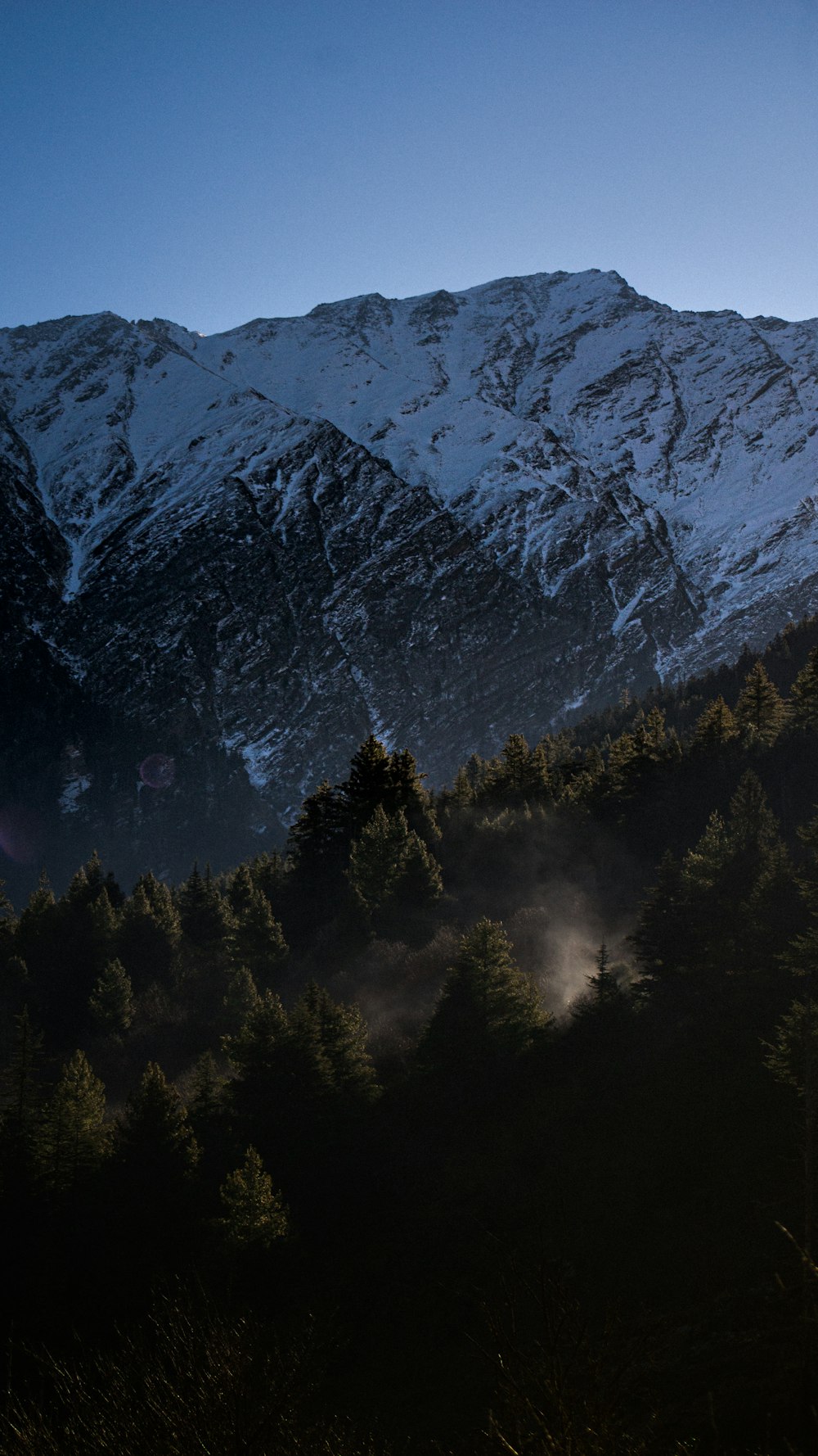 a view of a mountain with trees in the foreground