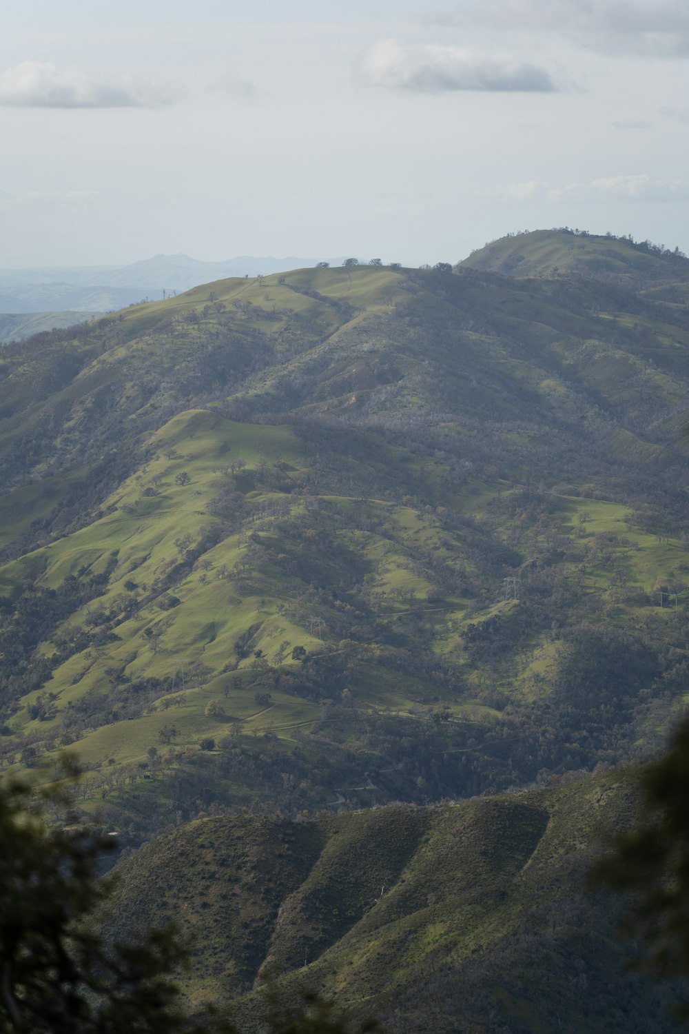 a view of a green mountain with trees on the side