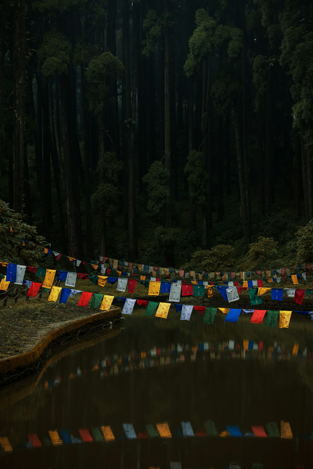 a row of colorful flags sitting next to a body of water