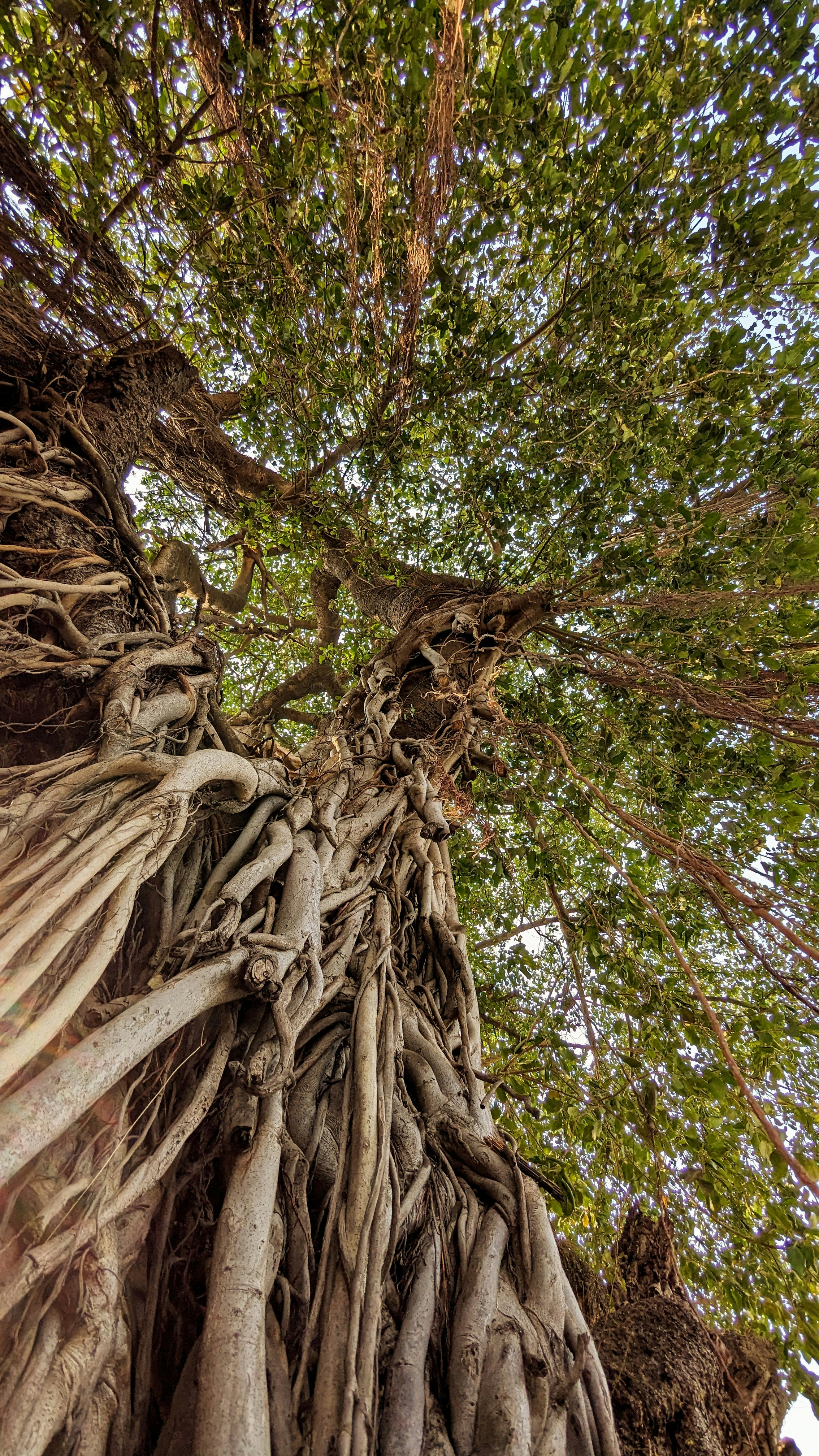 Photo by rishu_bhosale