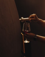 a person holding a glass of wine in their hand
