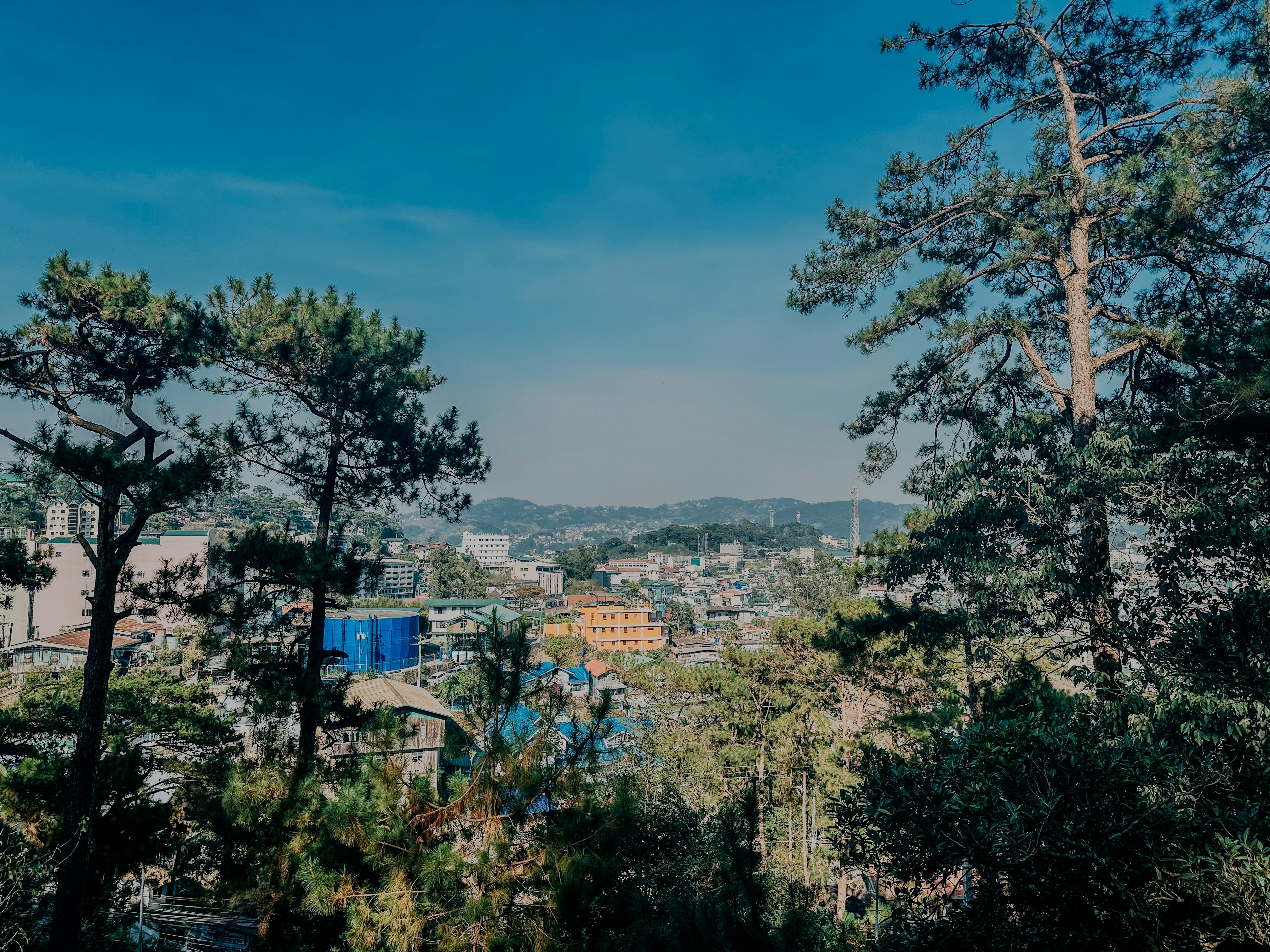 Photo by supremichael6