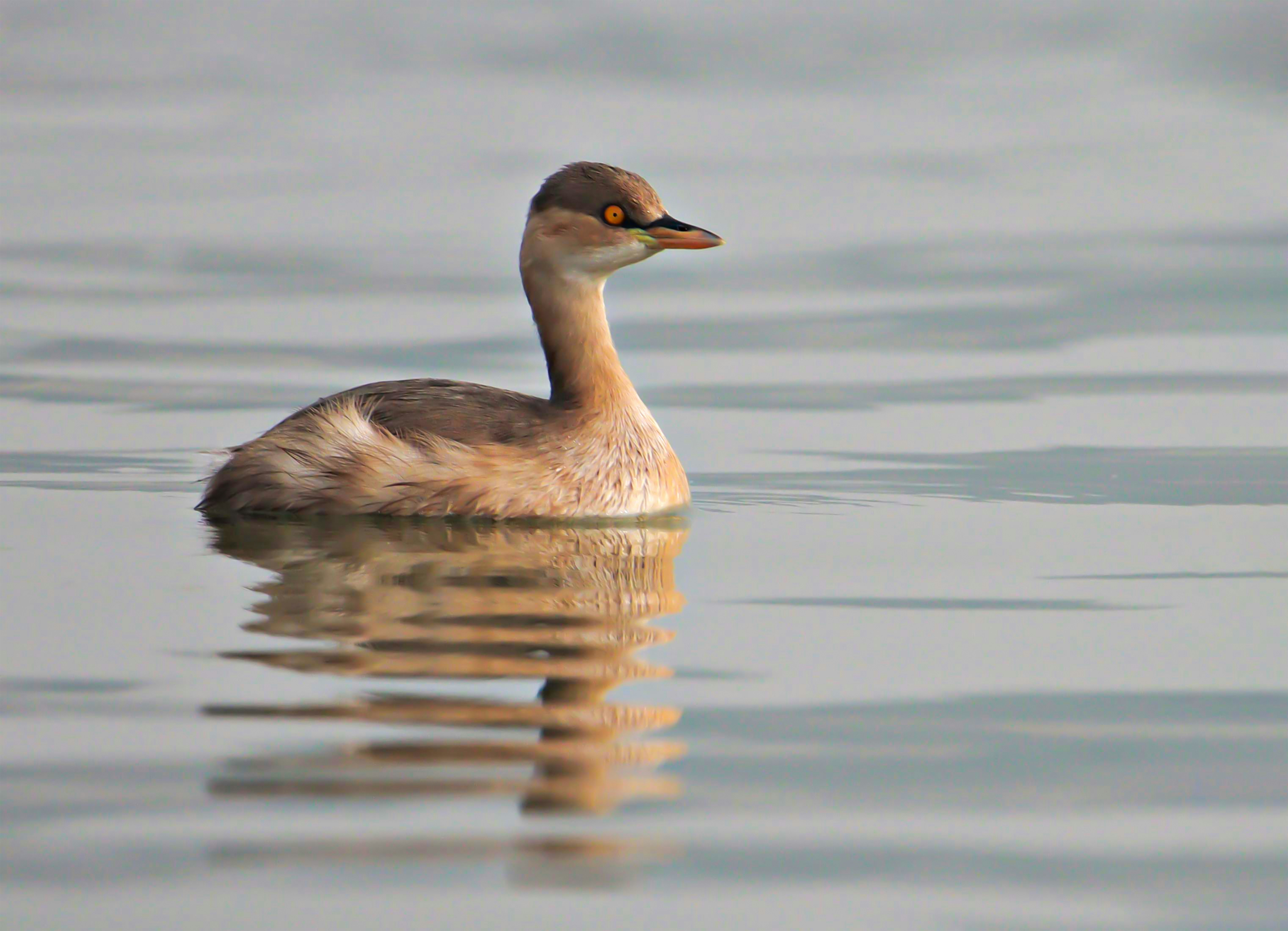 Photo by mhphotography13