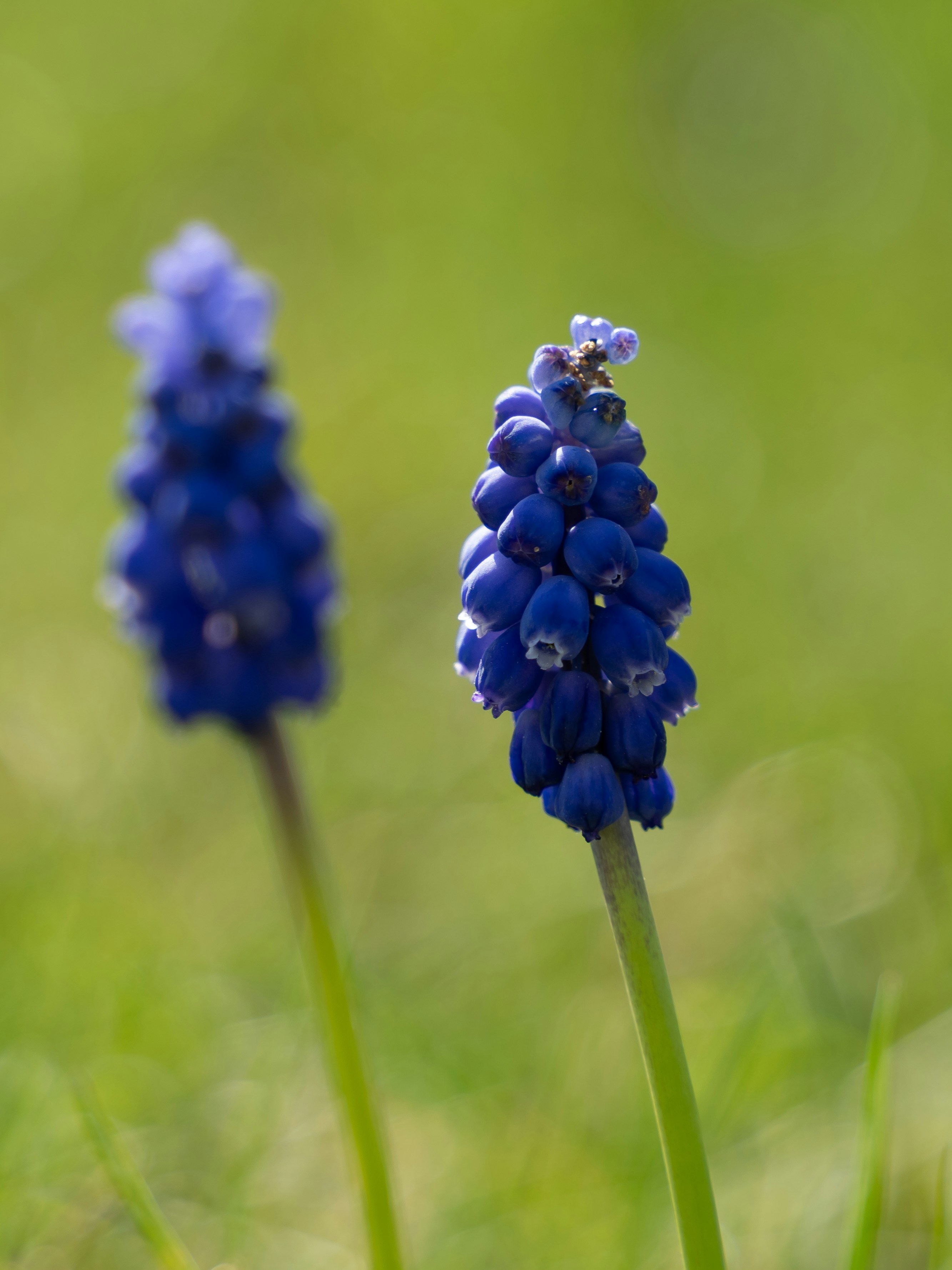 Photo by magictravel