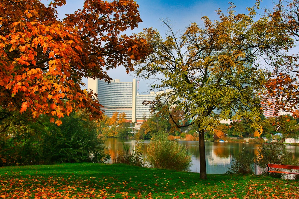 a park filled with lots of trees next to a lake