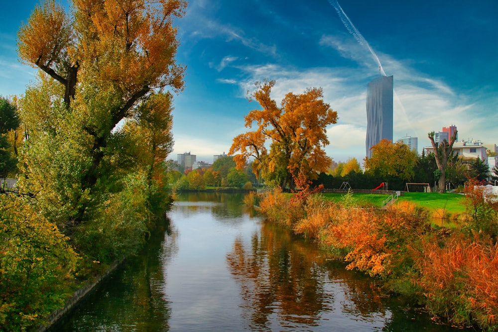 a river running through a lush green park next to a tall building