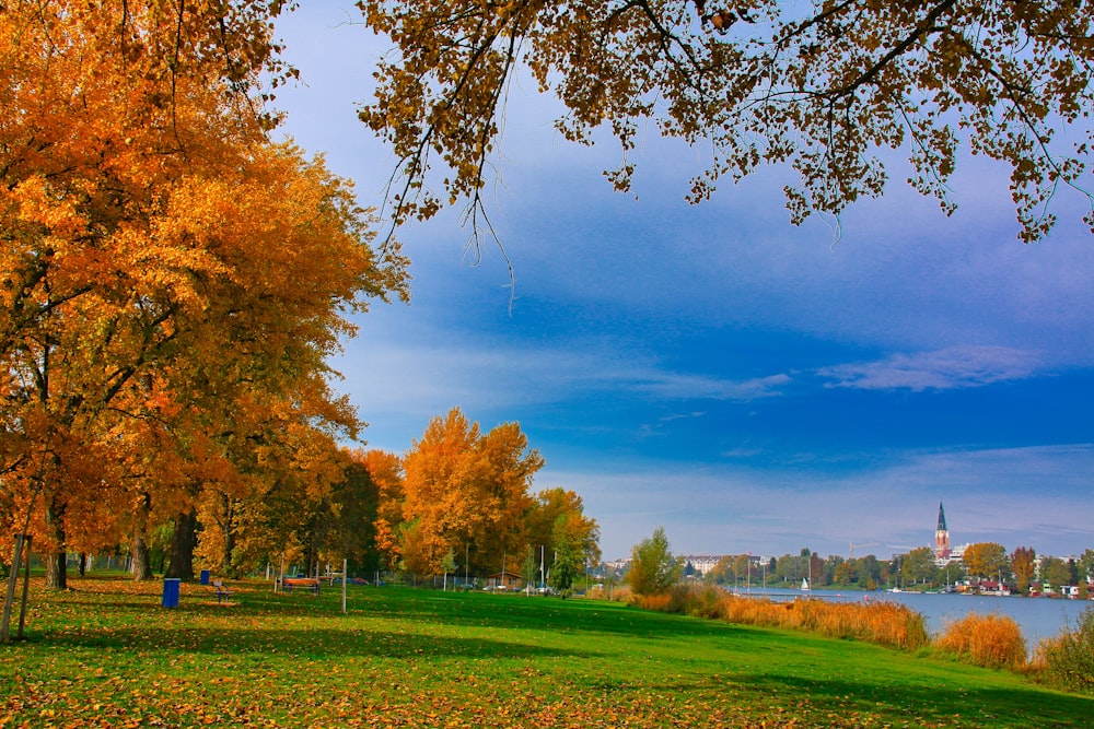 a park filled with lots of trees next to a river