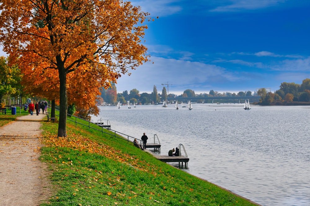 a couple of boats that are sitting in the water